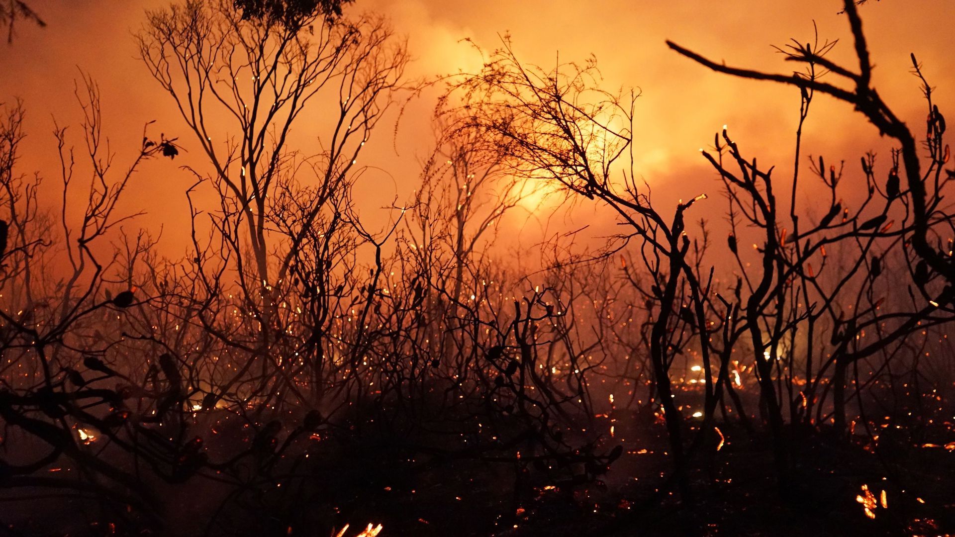 Bushfire during Australia's hottest summer on record.