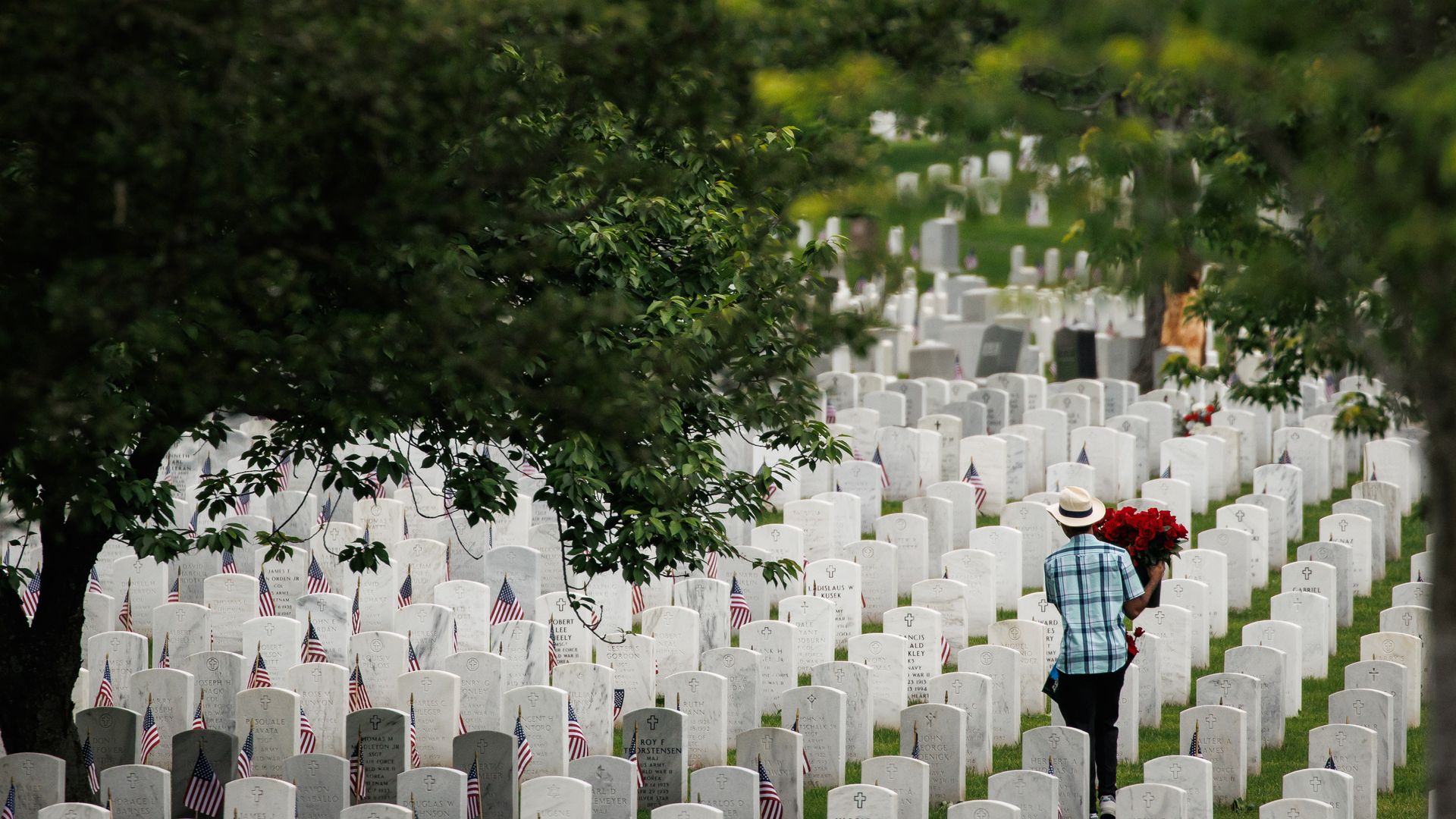 A person in a hat carries flowers through Arlington National Cemetery.