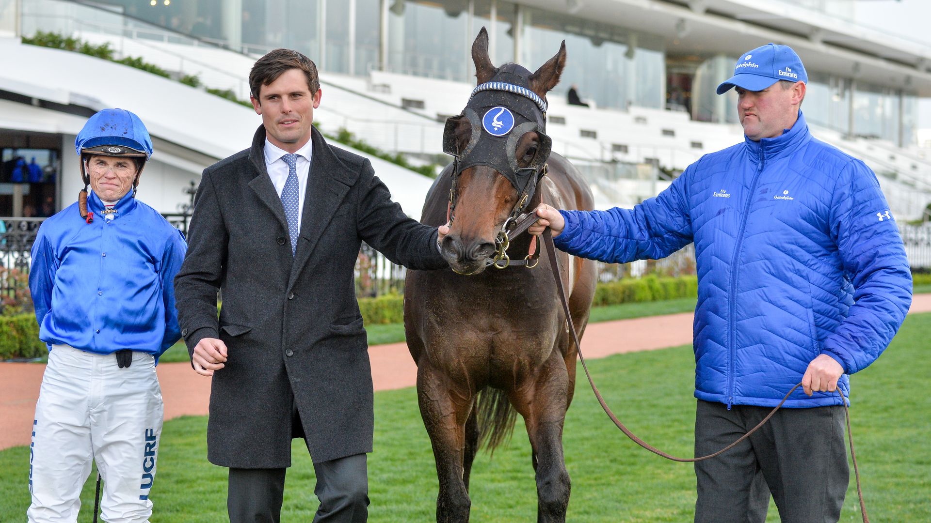 Photo of a horse named Encryption after a race in Australia.
