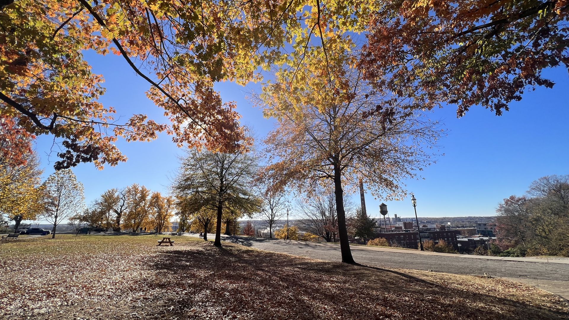 Park scene with trees in vibrant autumn colors of orange, yellow, and red under a clear blue sky, fallen leaves on the ground, a bench, and distant city buildings visible.