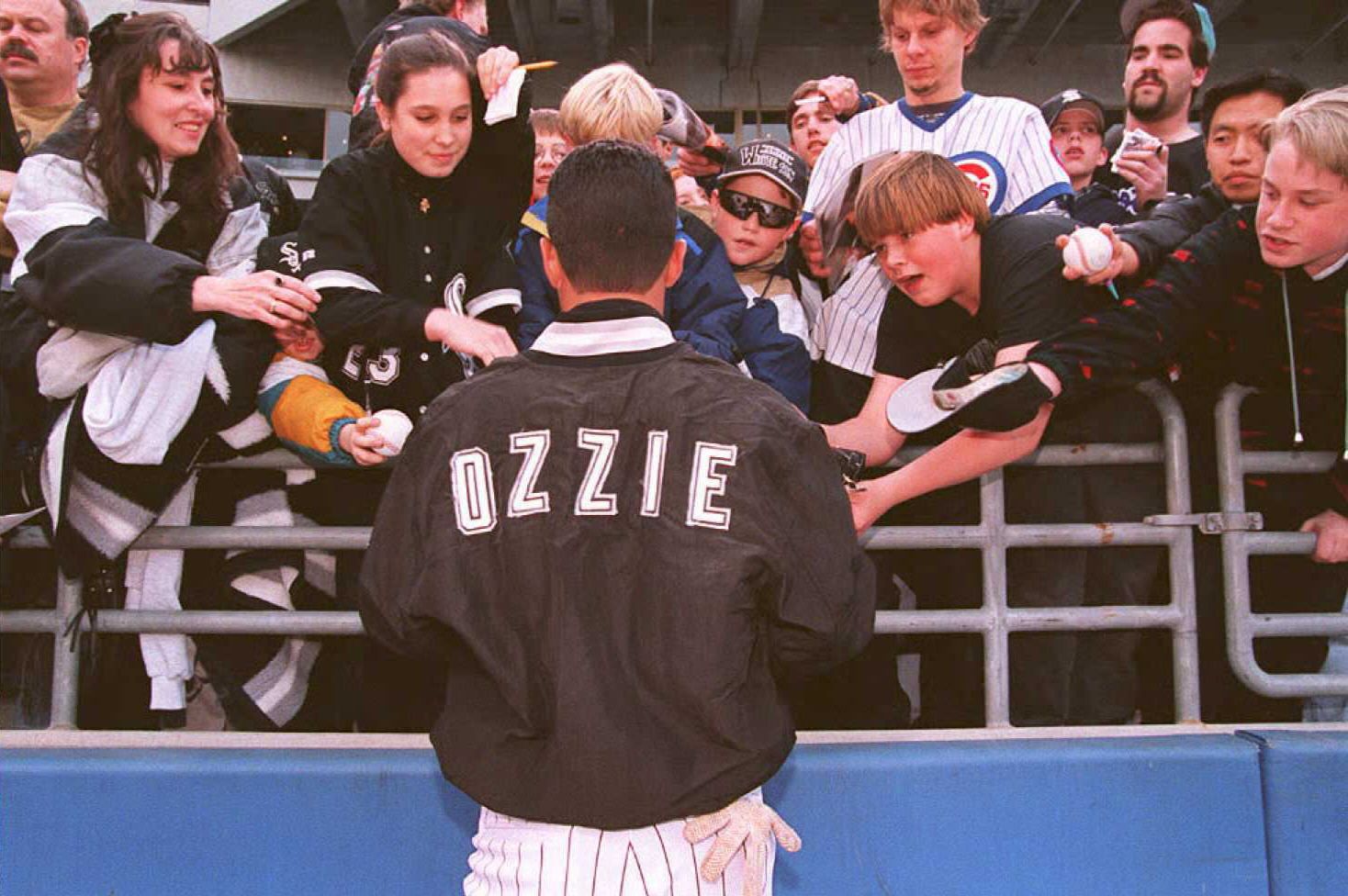 Baseball player viewed from behind, wearing a black jacket with OZZIE and pinstripe pants, signs autographs as a crowd presses the railing, hands reaching out with baseballs.