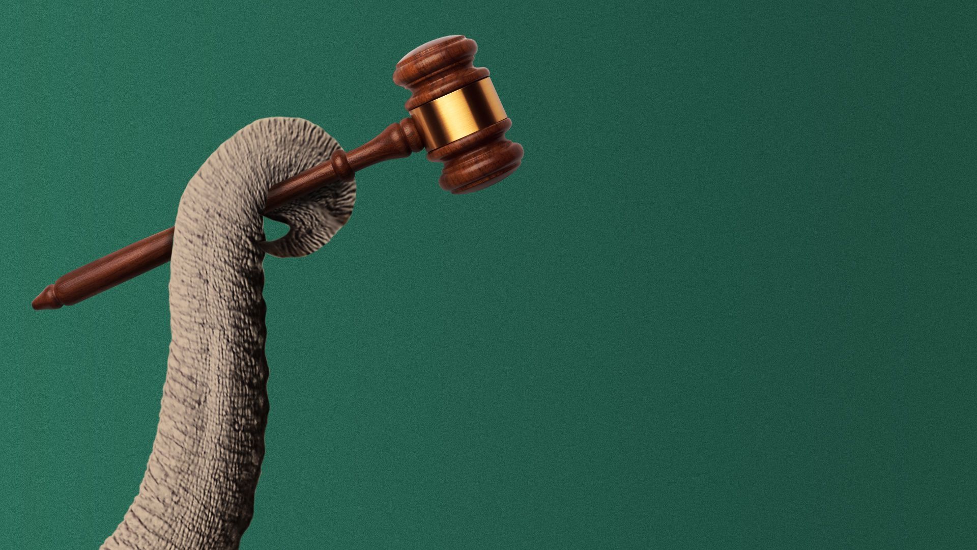 Illustration of an elephant’s trunk holding a gavel.