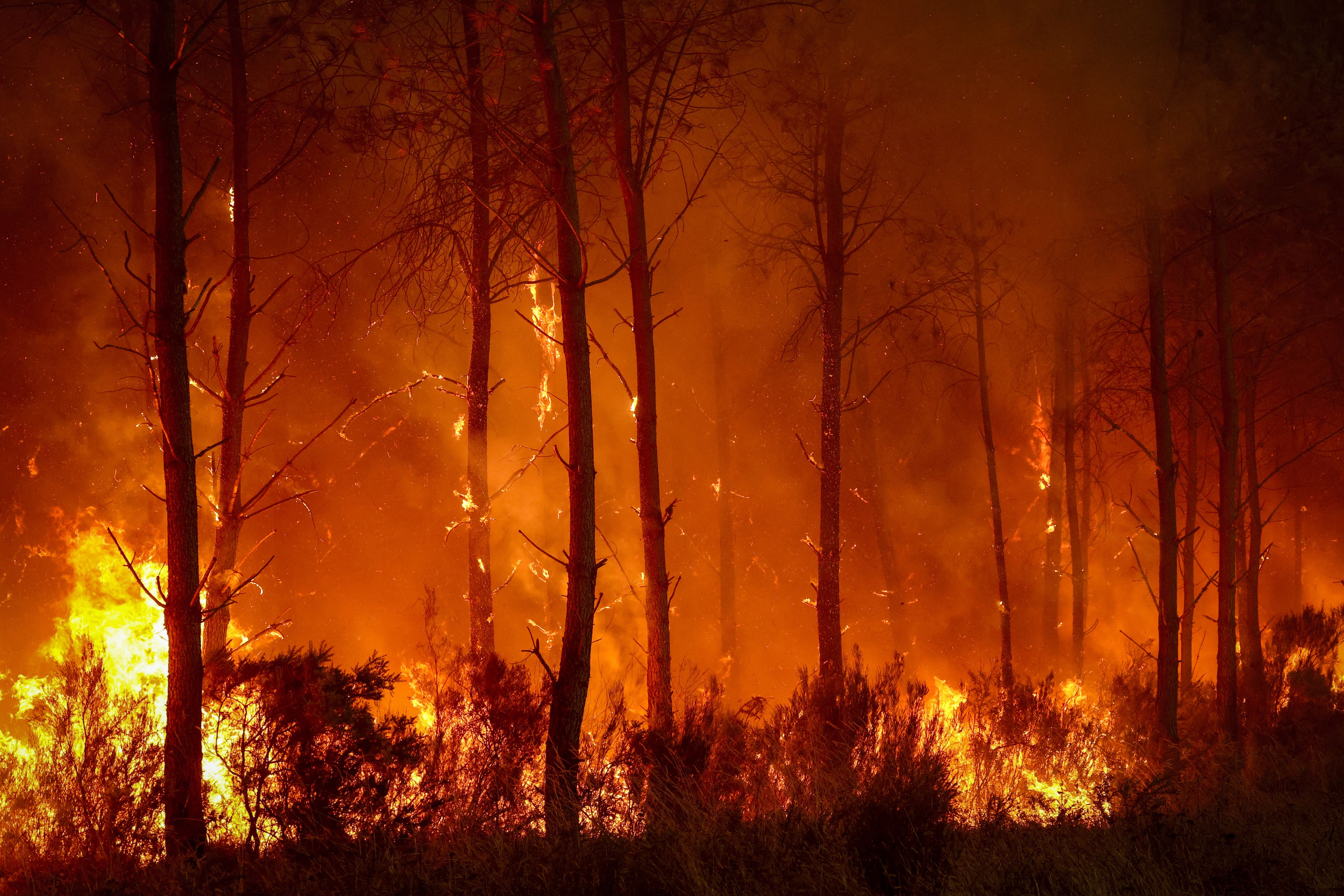 Flames and thick smoke engulf a forest near Saint-Jean-d'Illac, France, as a large wildfire burns through the Gironde region.