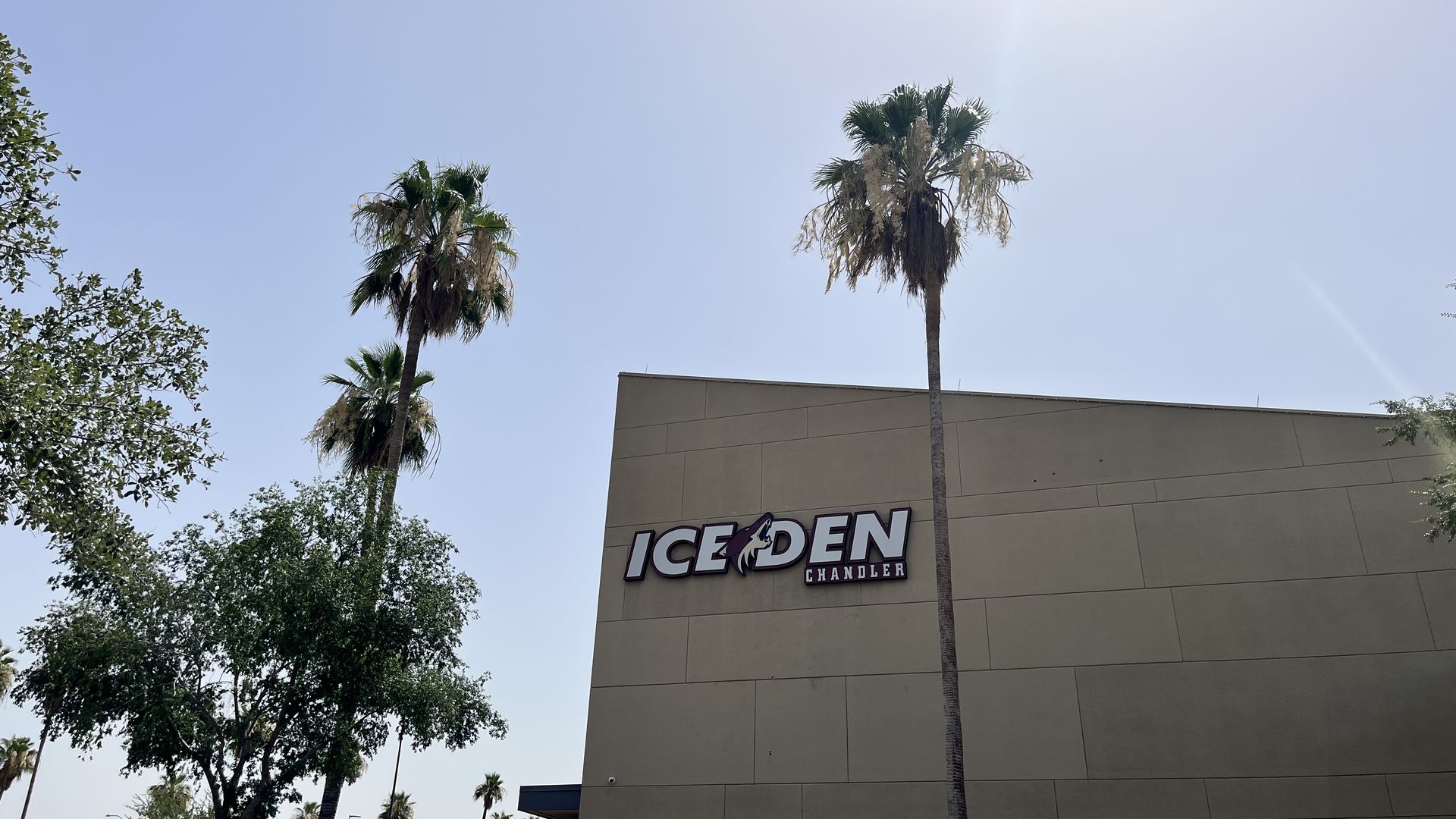 A building that says, "Ice Den" with palm trees around it. 