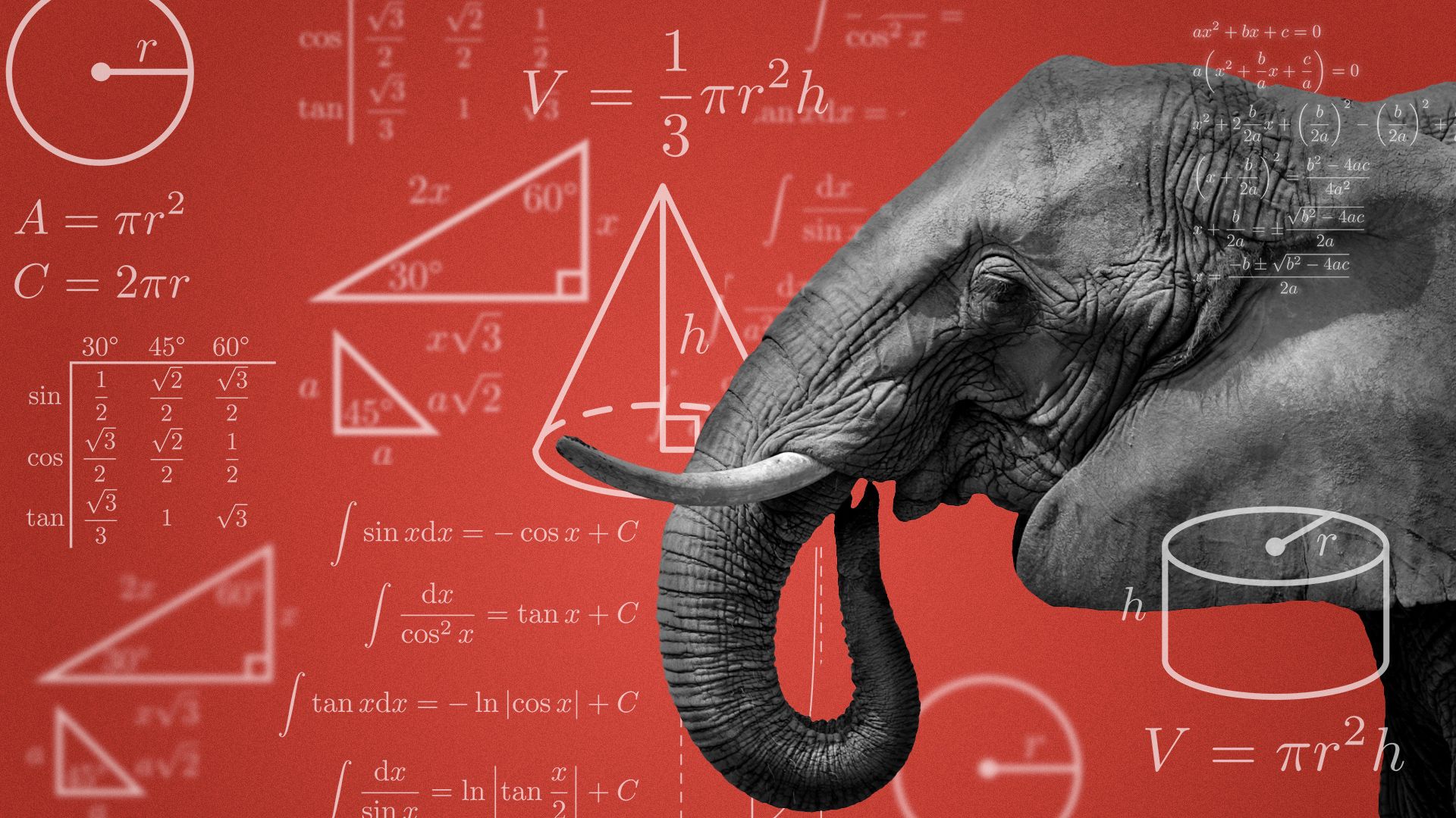 Illustration of an elephant surrounded by mathematical formulas.