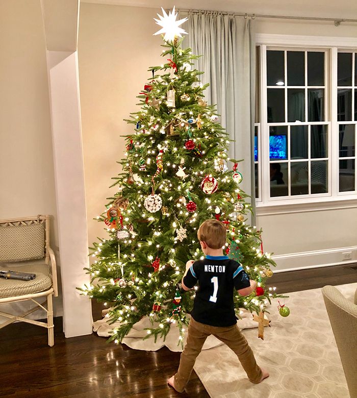 Can you be allergic to a Christmas tree? 5 things I learned about