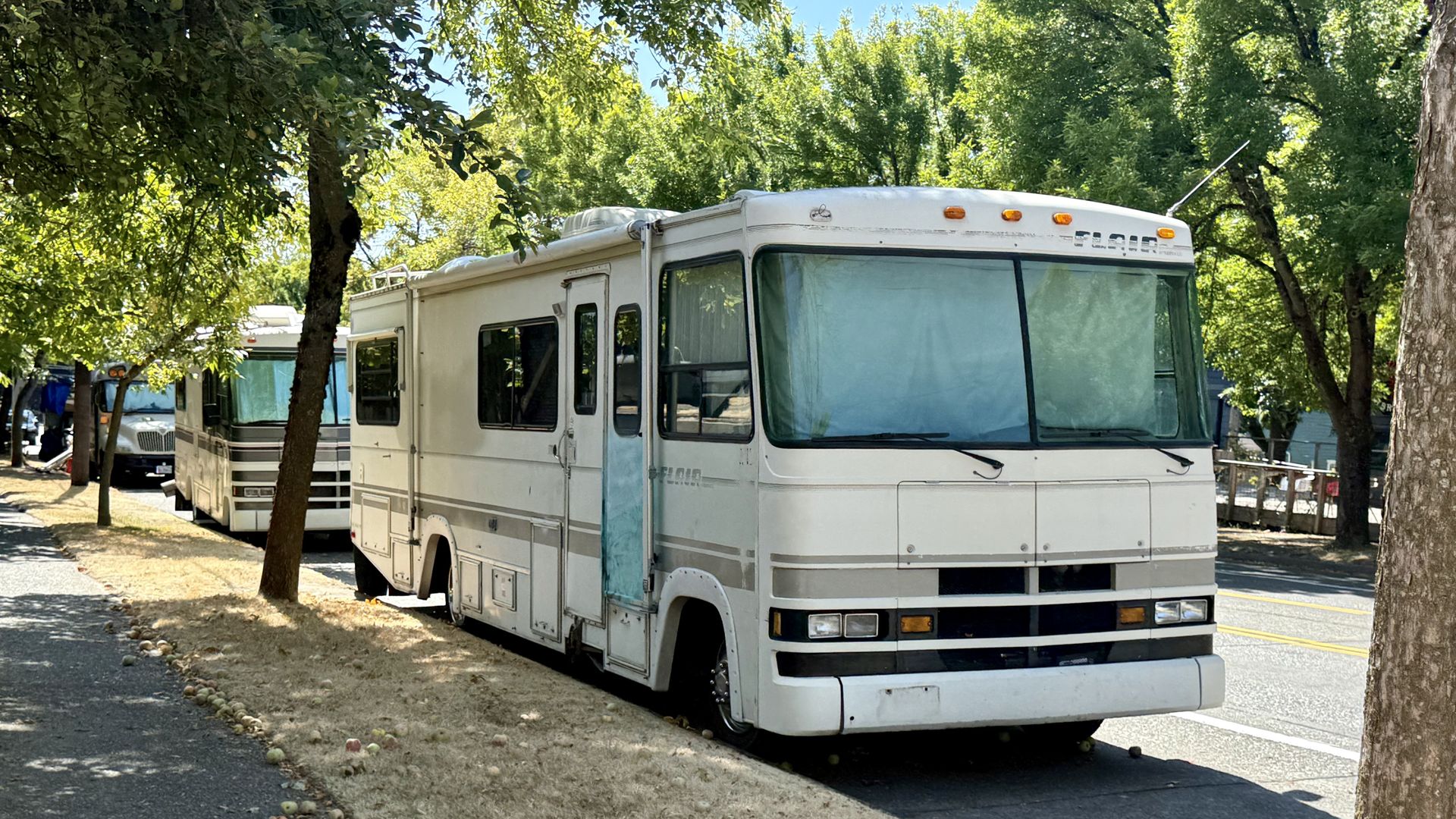 Two white motorhomes parked on a tree-lined street.