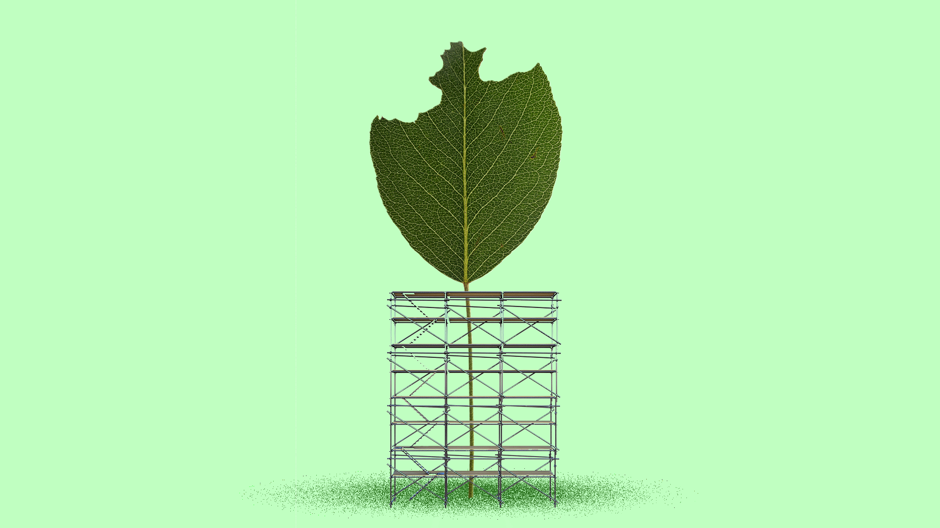 Illustration of a damaged leaf with scaffolding around it.