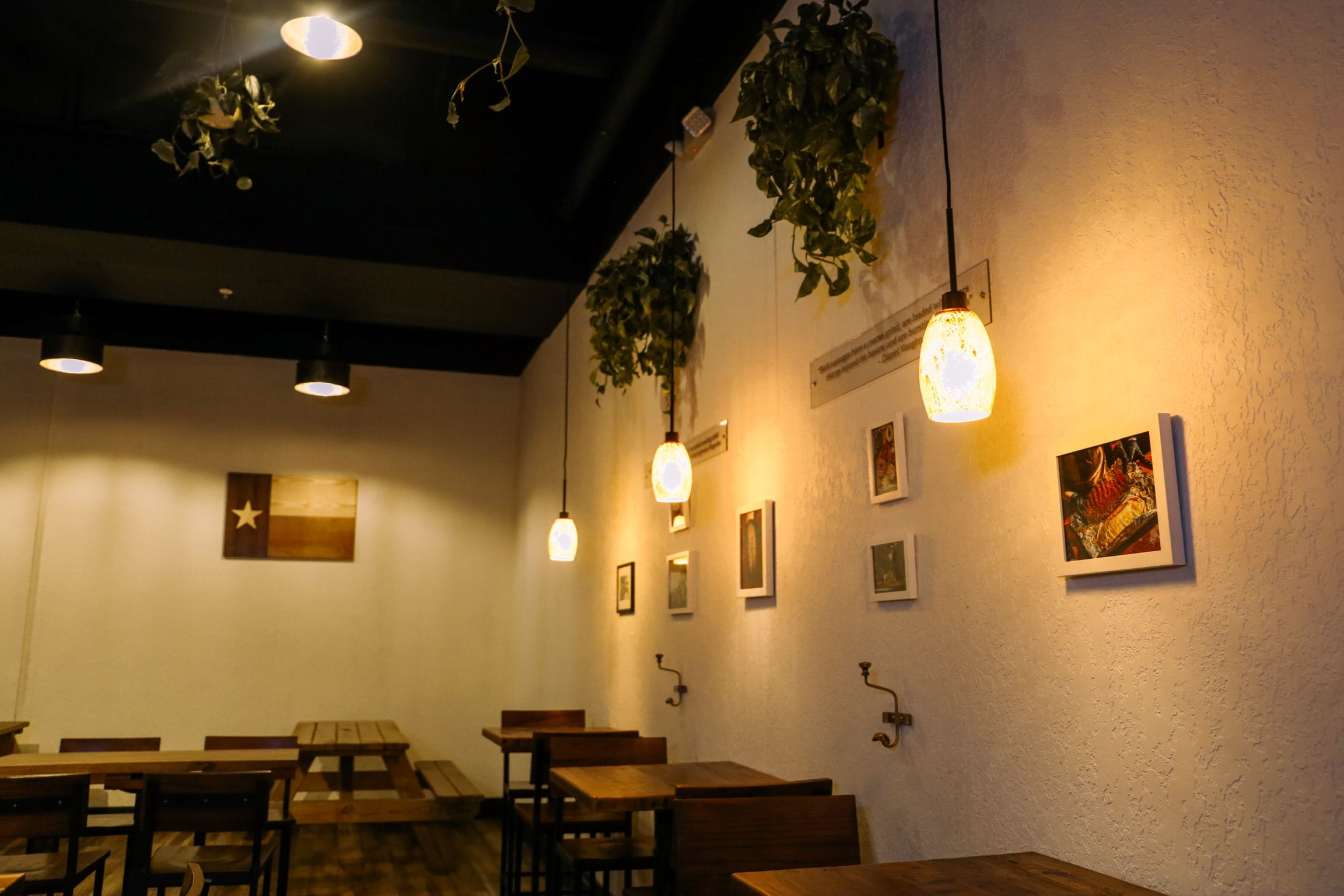 A dining room with hanging plants and lights