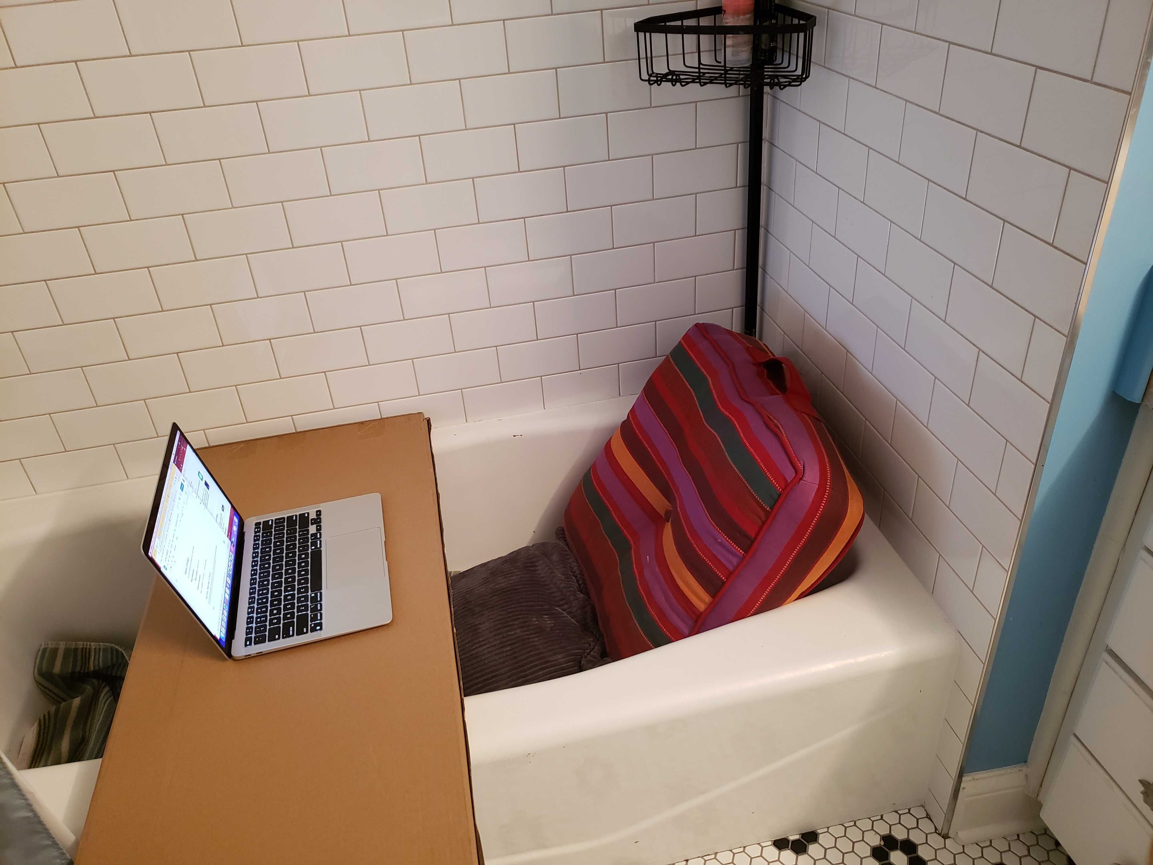 Photo of a computer and a pillow in a tub. 