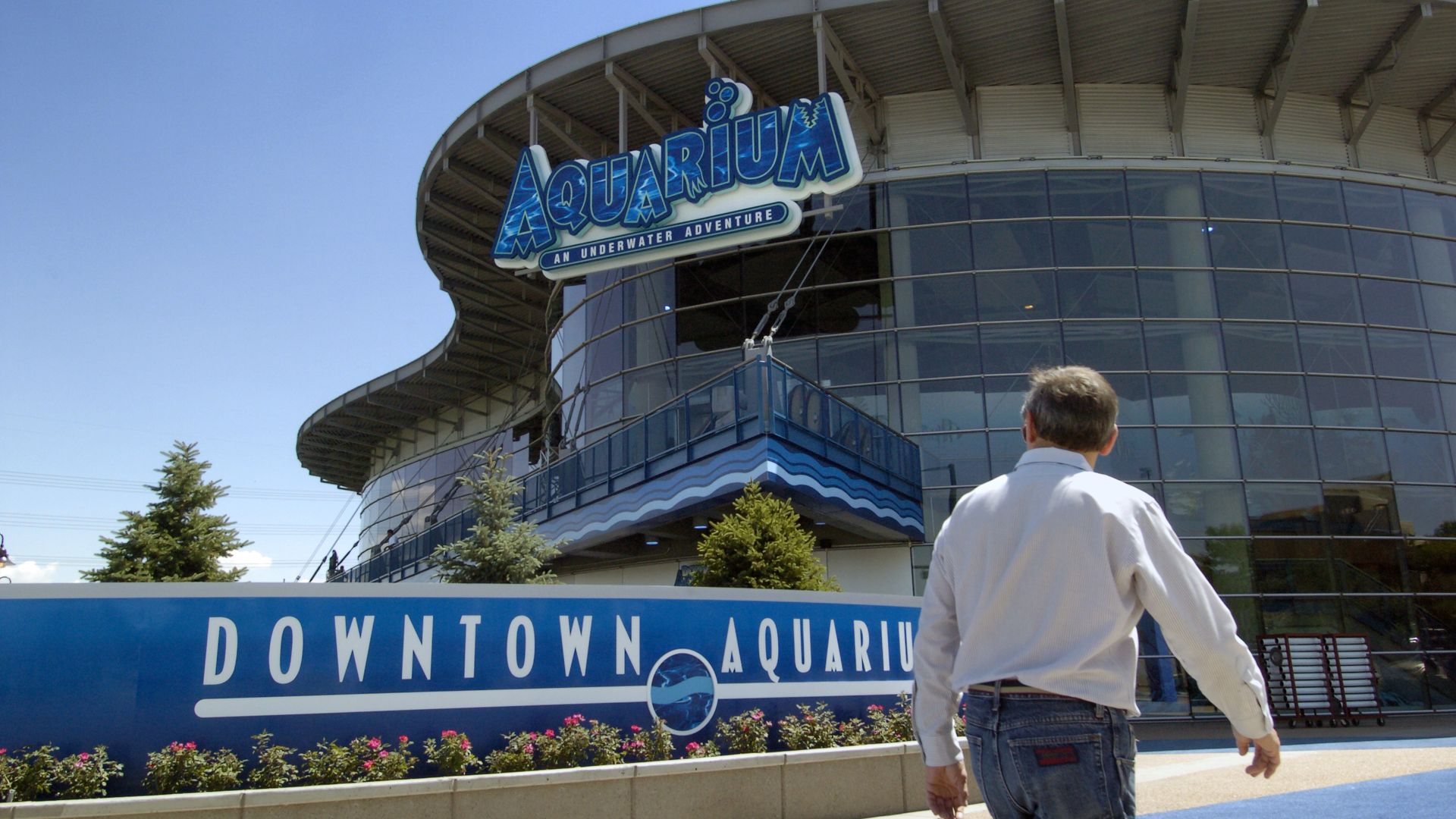 Employees raise concerns about Denver's Downtown Aquarium - Axios