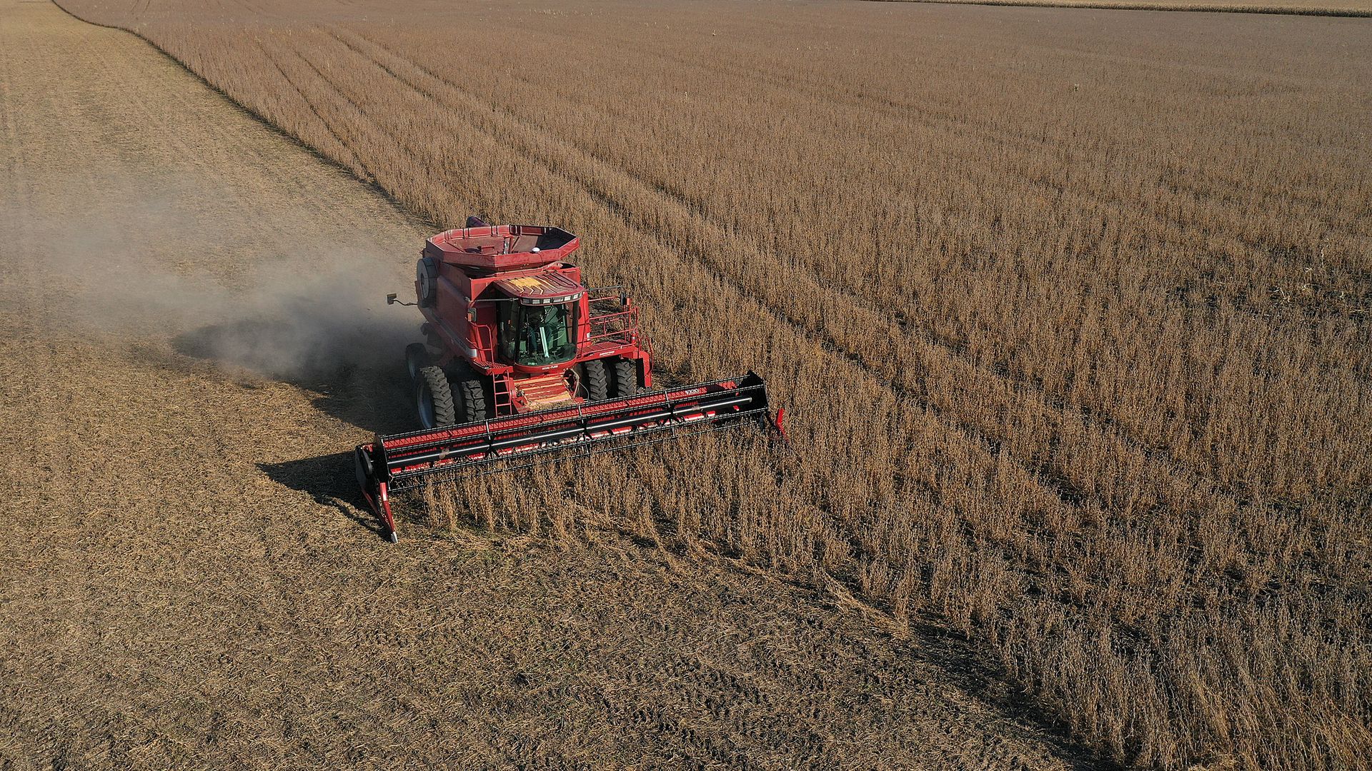 Soybean farm