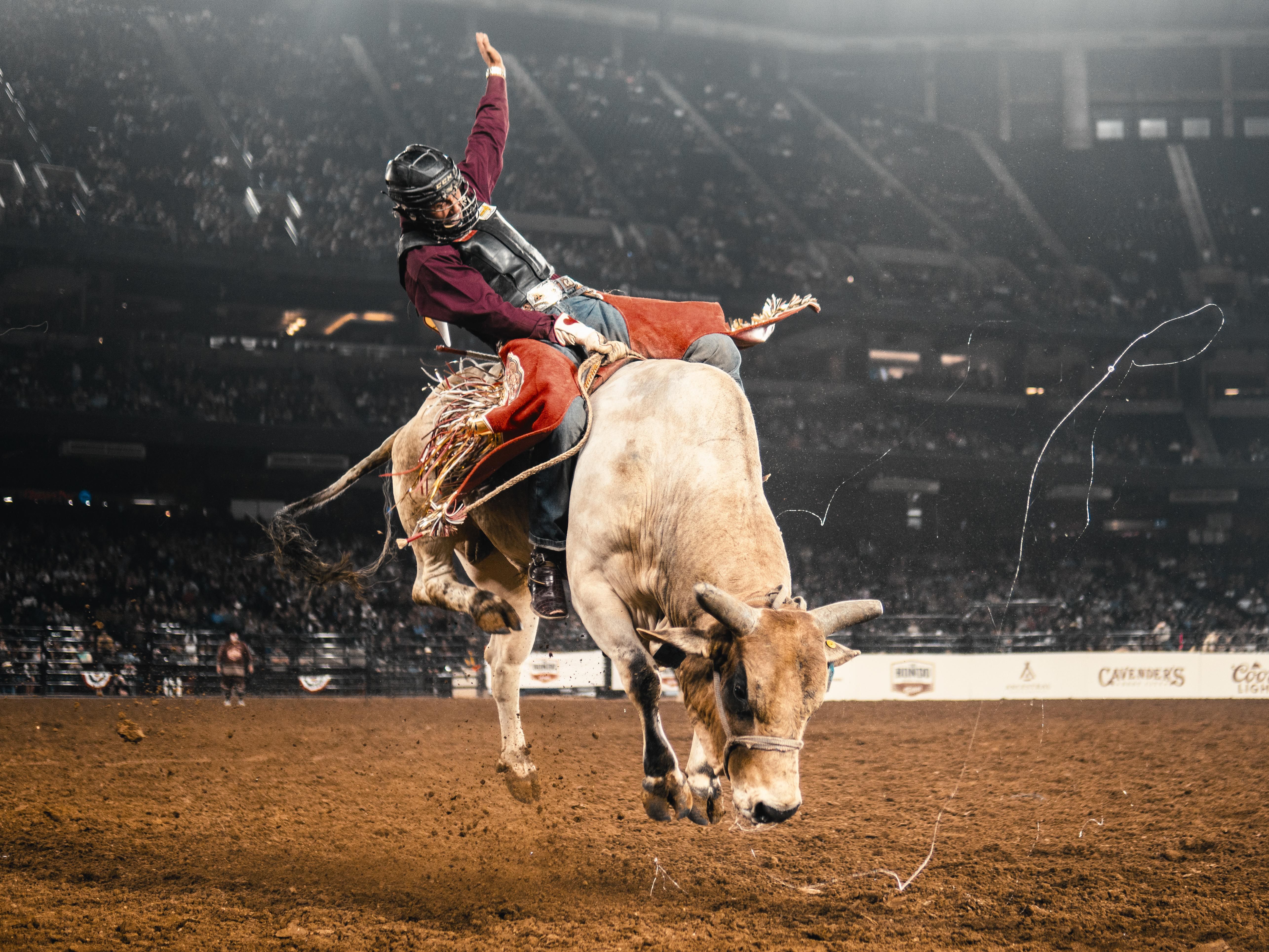 A rodeo rider in a maroon shirt and protective vest rides a bucking brown bull in a packed arena; one arm is raised as dust swirls and spectators watch.
