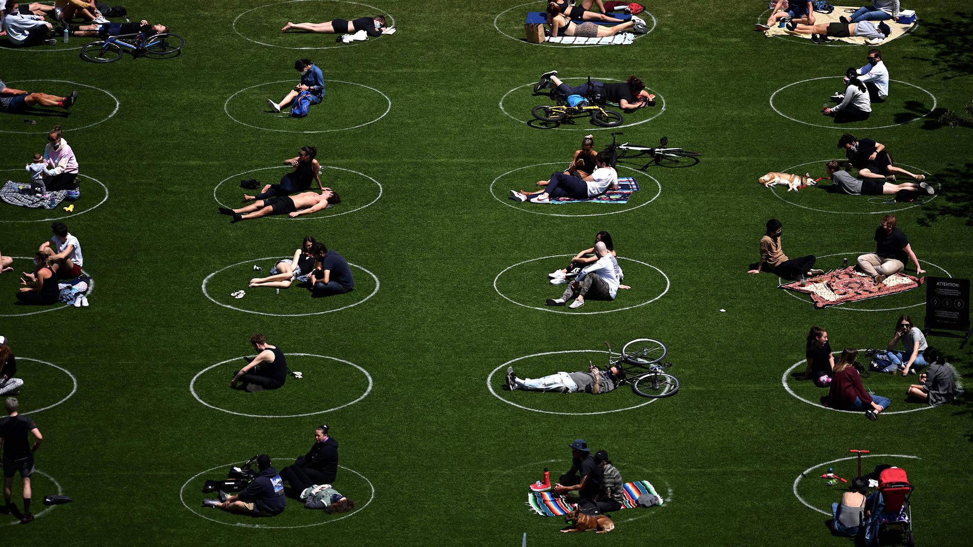 Park-goers practice social distancing in white circles in Brooklyn