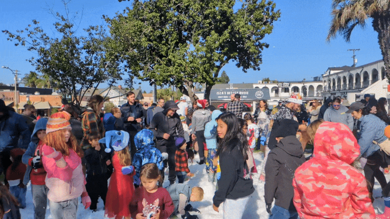 Kids throw snowballs in a park