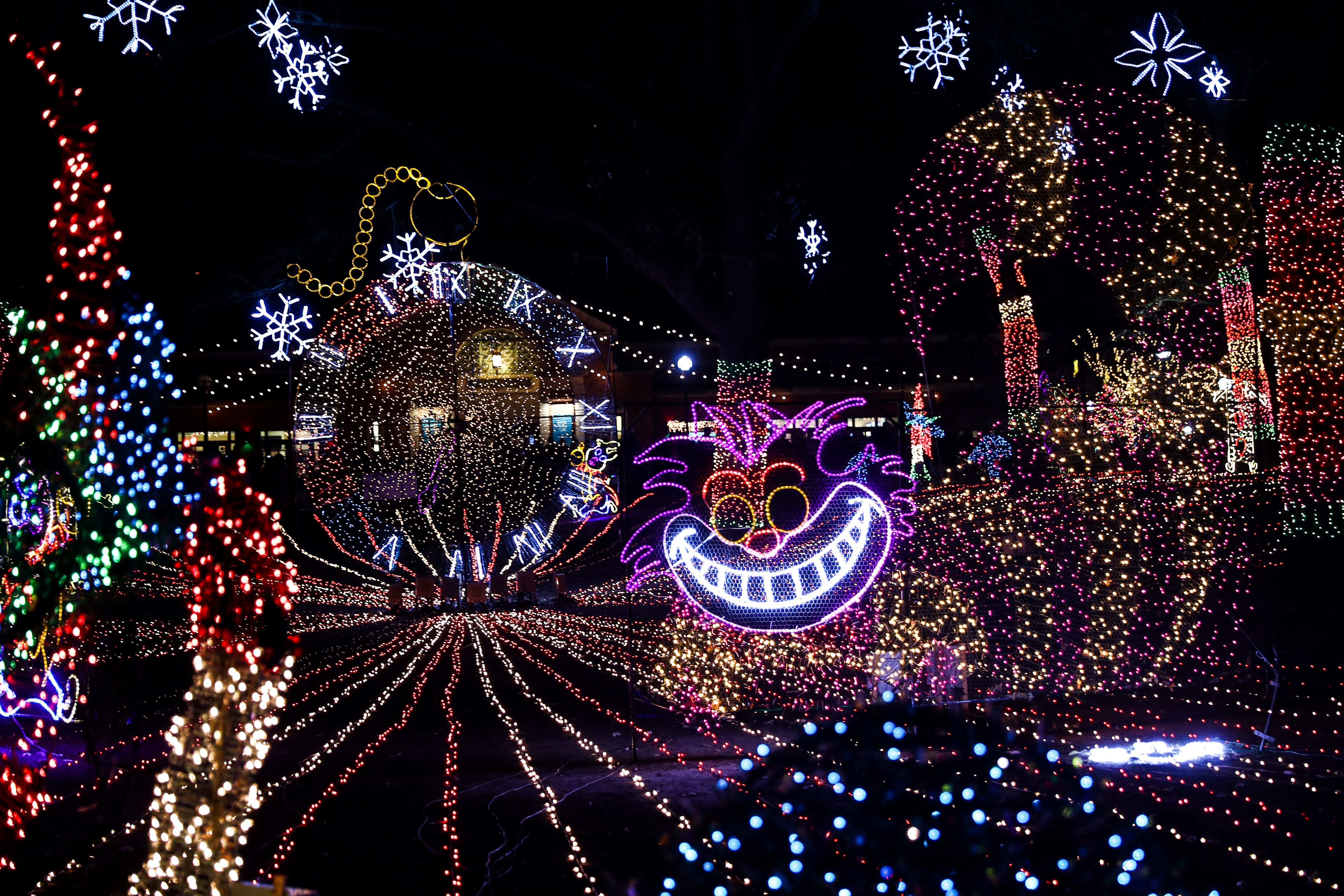 Photo of thousands of little lights on trees and gates outside 