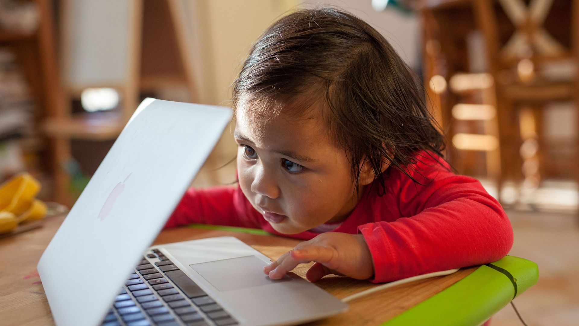 A toddler looking at a laptop screen.