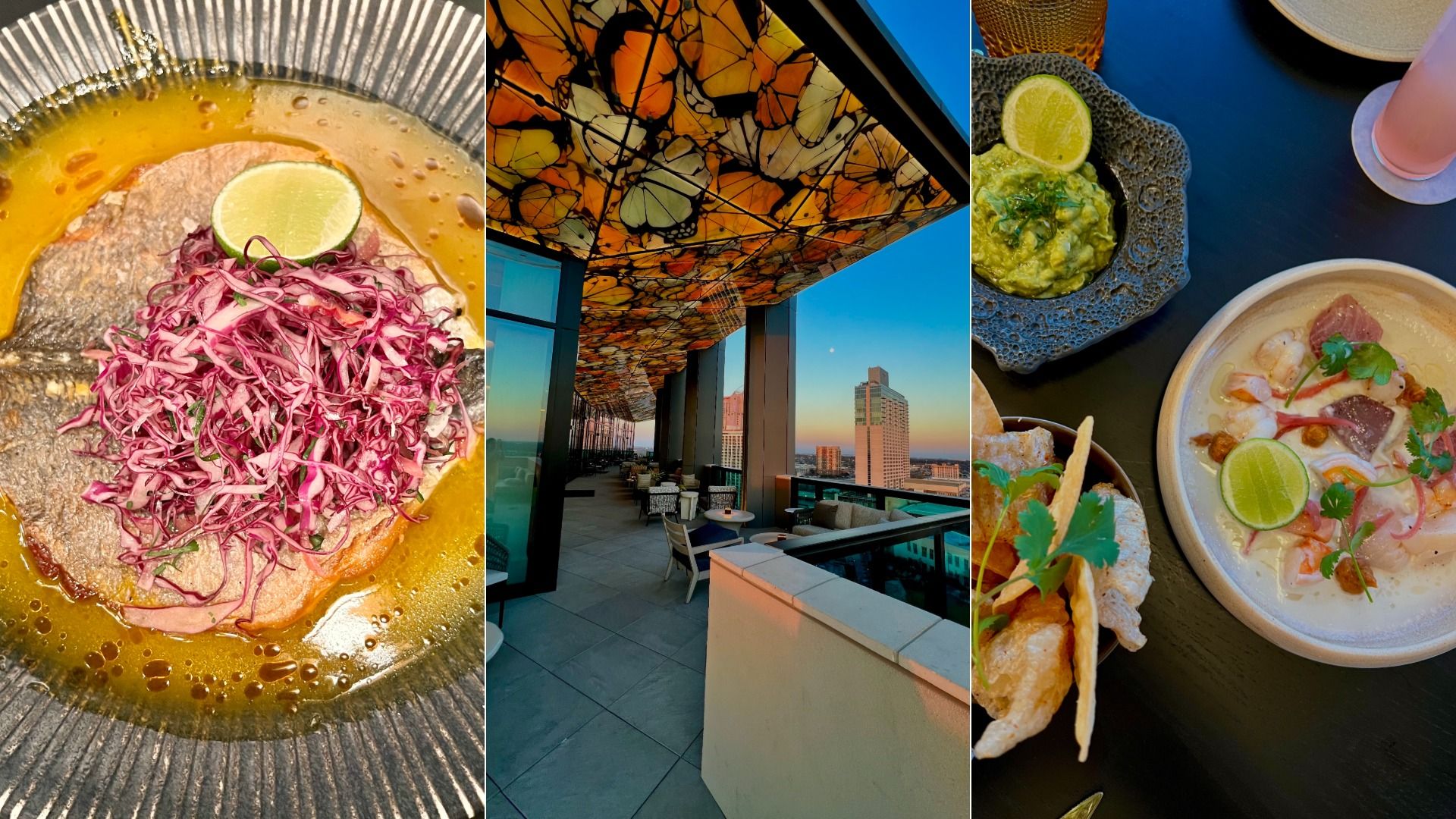 Three images: dish with tortilla, purple cabbage, lime slice in sauce; rooftop bar with butterfly-patterned ceiling and city skyline at sunset; table with guacamole, chips, seafood ceviche, and drinks.
