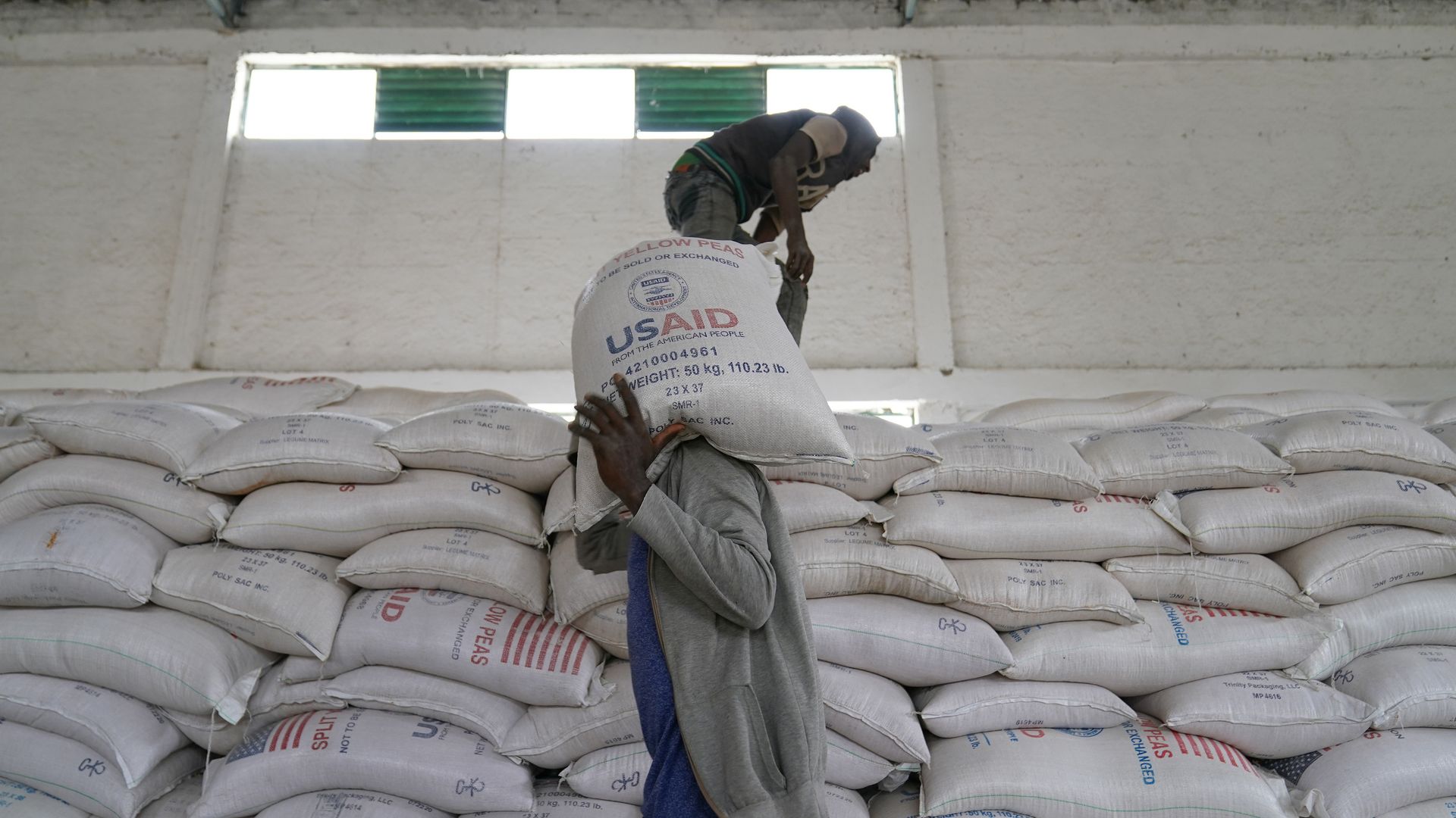 Photo of a person carrying a big sack of lentils against a backdrop of other sacks