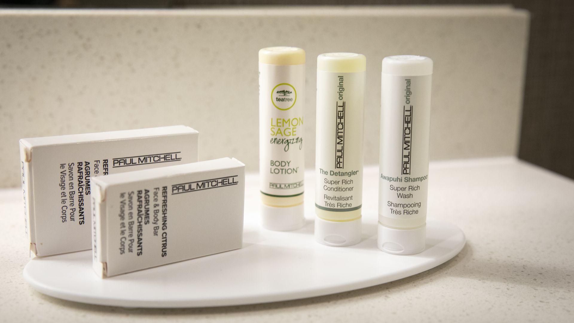 Marriott International, the world's largest hotel chain, 