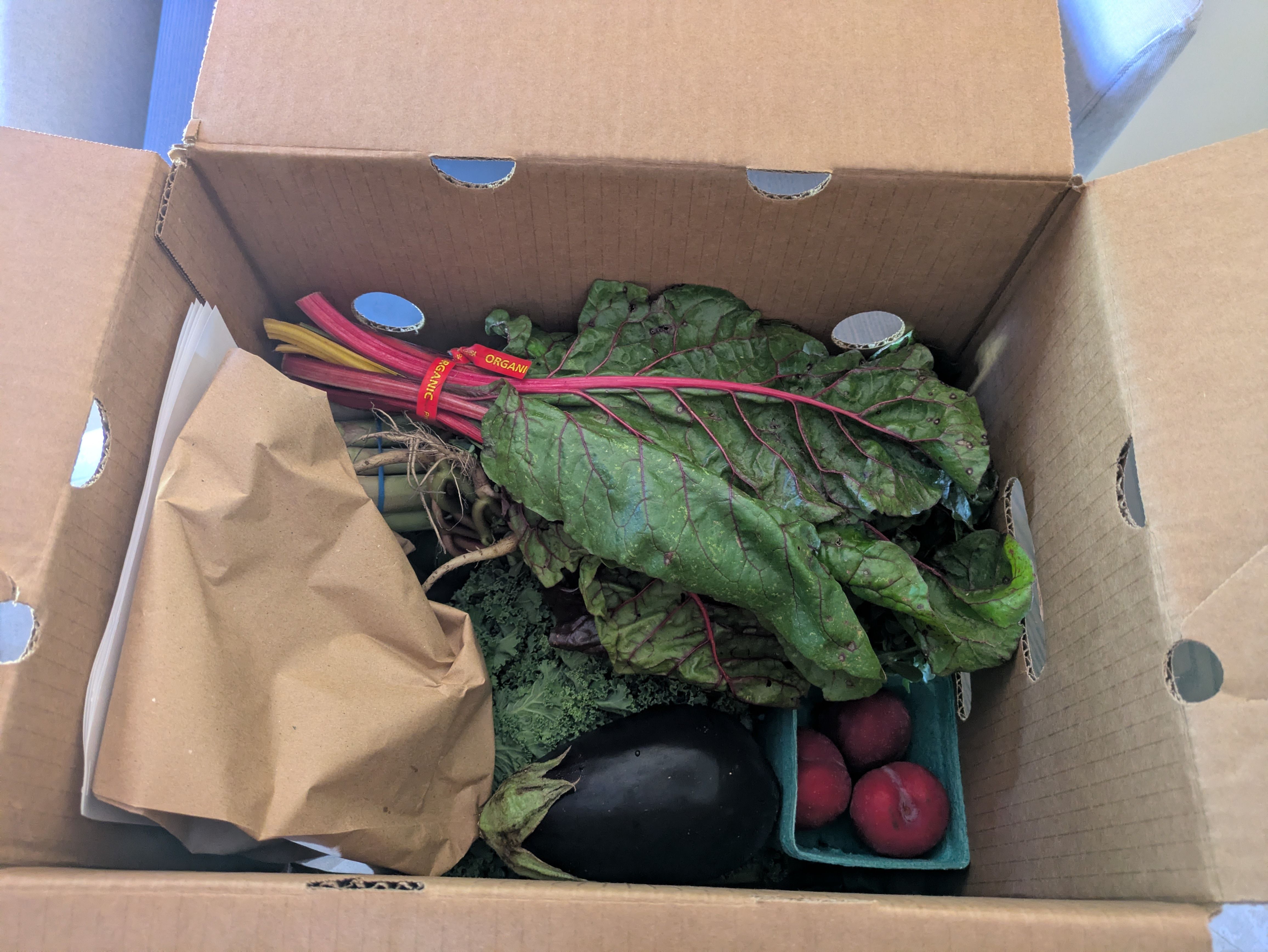 Open cardboard box of fresh organic produce: rhubarb with red stems and green leaves, red beets in a blue crate, and a few papers tucked in the corner.