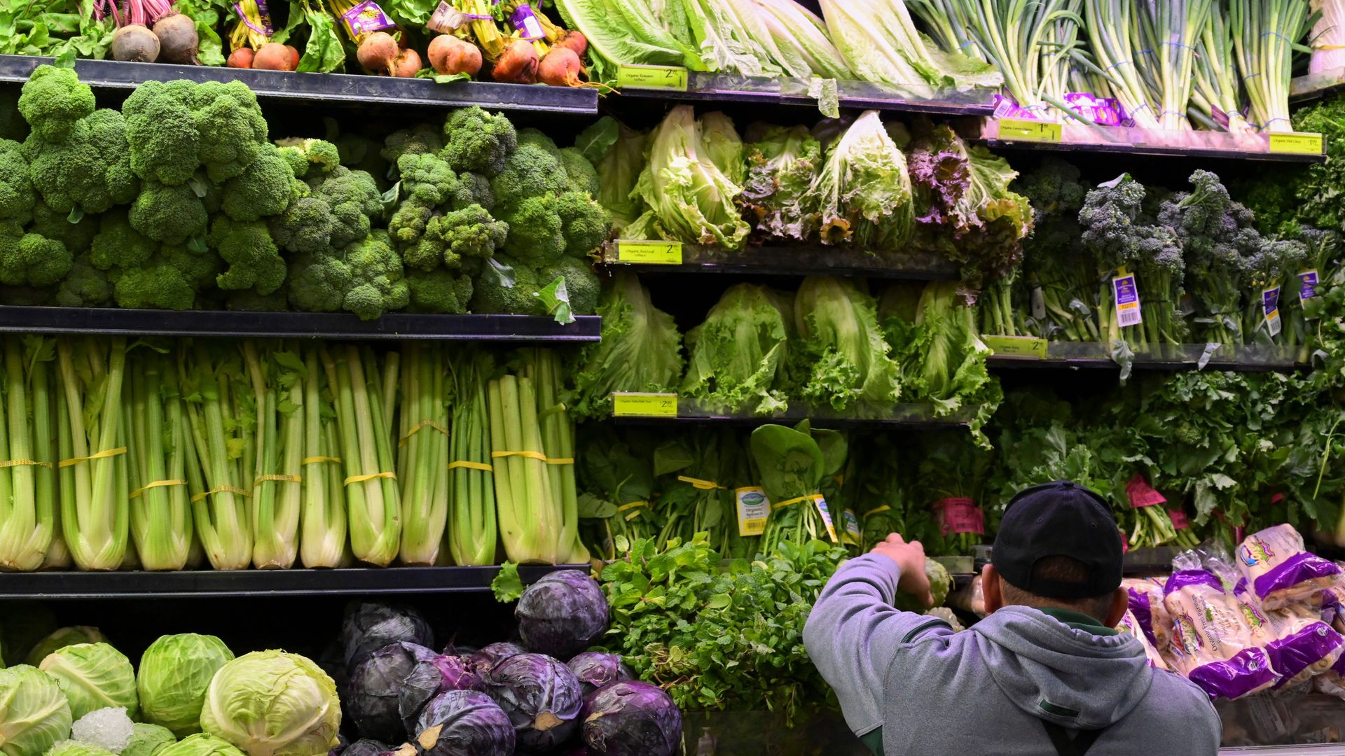 Romaine lettuce and vegetables displayed in store.