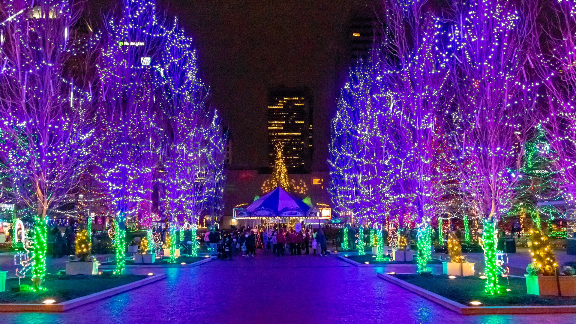 Trees lit with Christmas lights line the entrance to Columbus Commons, with green trunks and purple branches