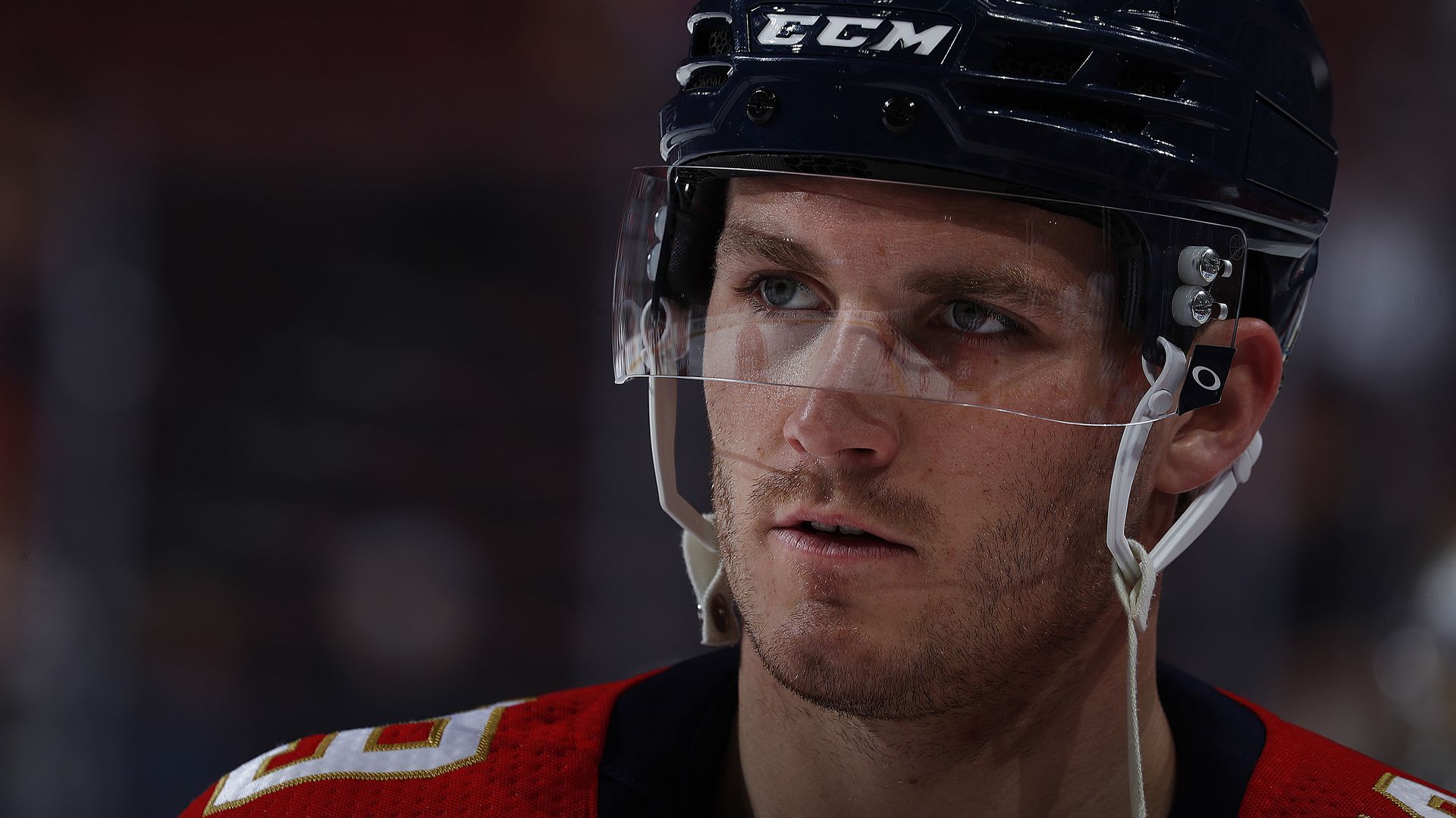 A close up of Matthew Tkachuk #19 of the Florida Panthers who's looking away from the camera.