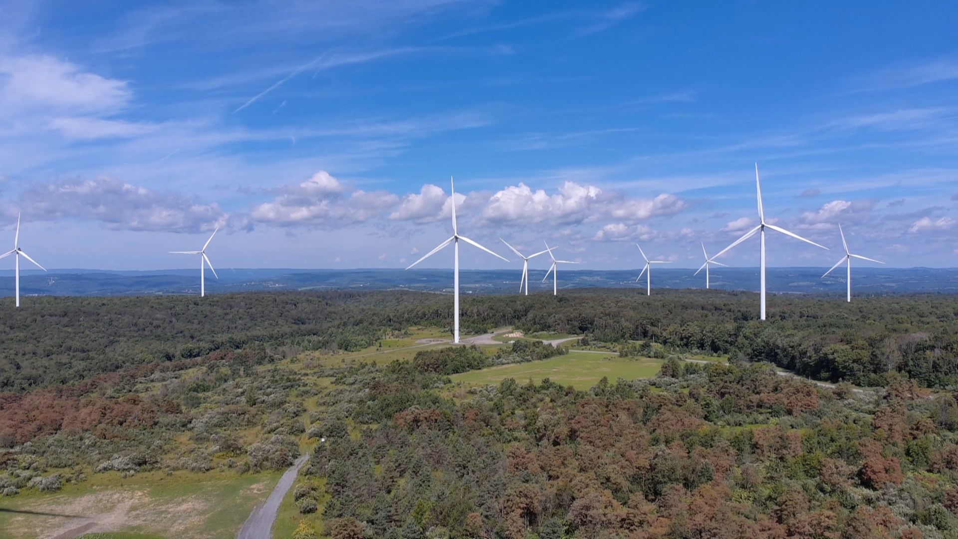 Wide landscape with several white wind turbines across a forested field, under a bright blue sky with scattered clouds and distant rolling hills.