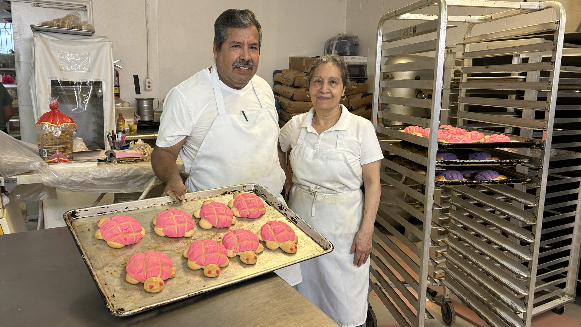 Two bakers in white aprons in a bakery holding a tray of pink turtle-shaped sweet bread with a rack of more baked goods in the background.