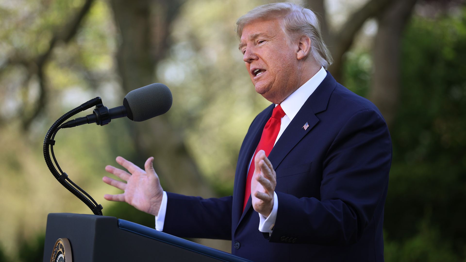 President Trump speaks in the Rose Garden