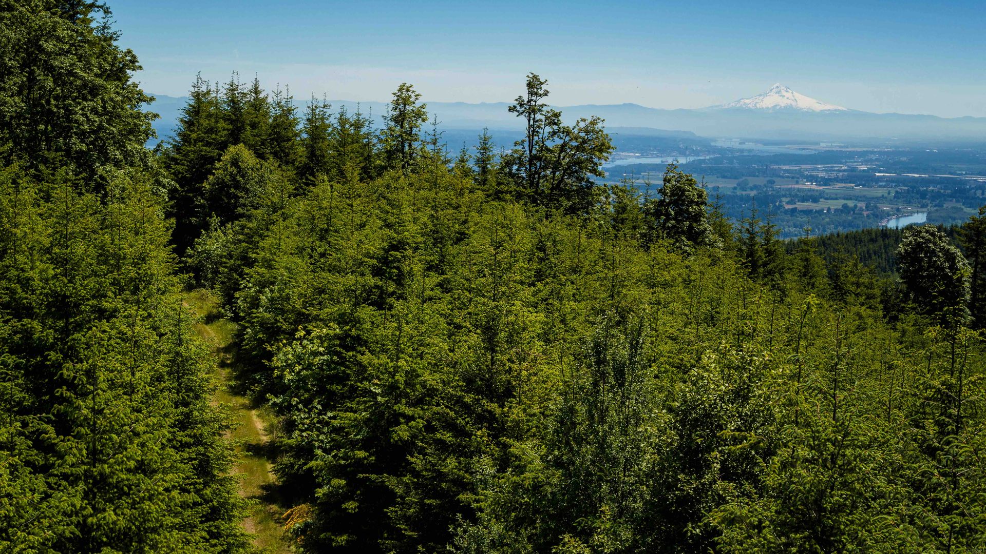 An aerial shot shows a forested hillside with mount hood in the background.