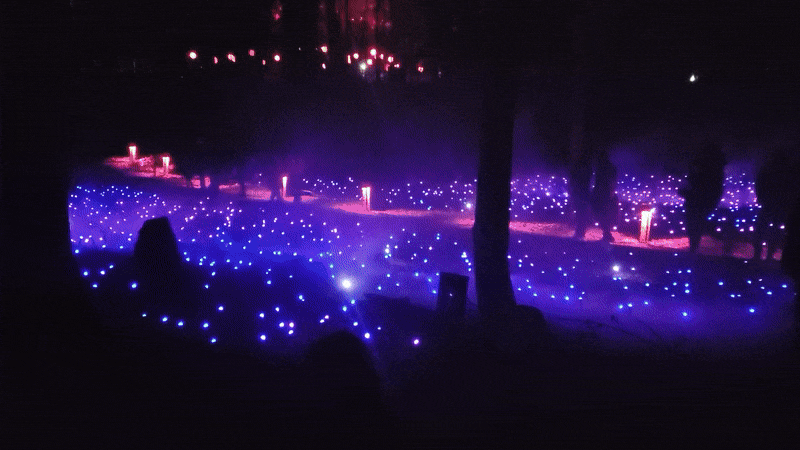 GIF of one of the exhibits at Astra Lumina.