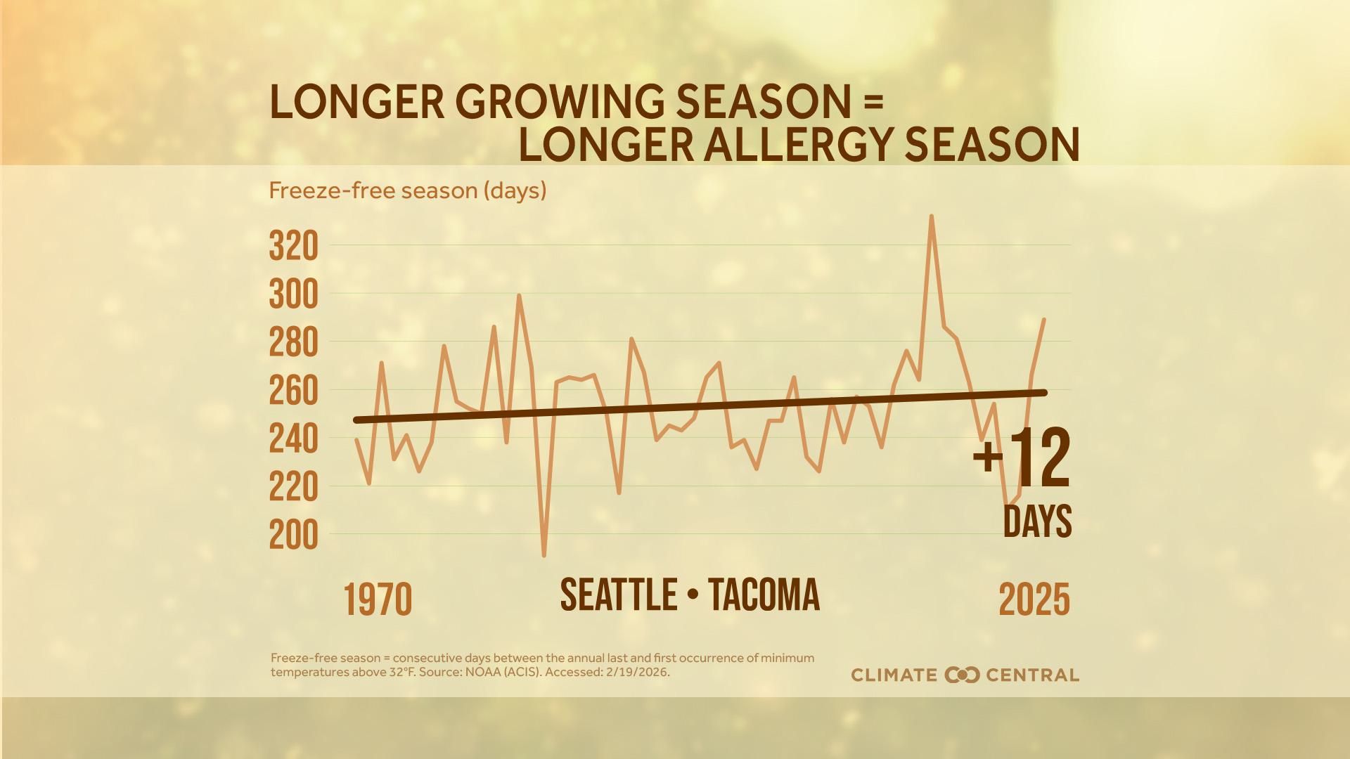Line graph showing an increase in Seattle's freeze-free season from 1970 to 2025, indicating a 12-day longer allergy season.