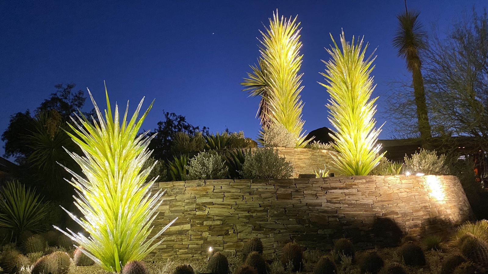 Flashlight Nights at Phoenix's Desert Botanical Garden are great