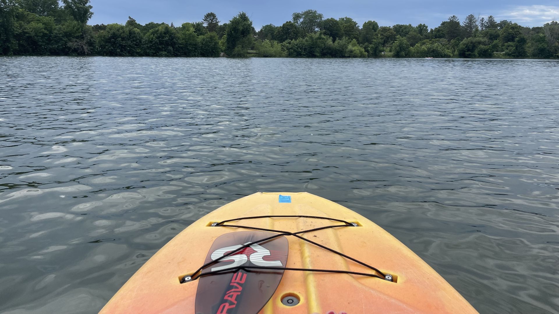 a tip of a paddleboard on a calm lake with trees