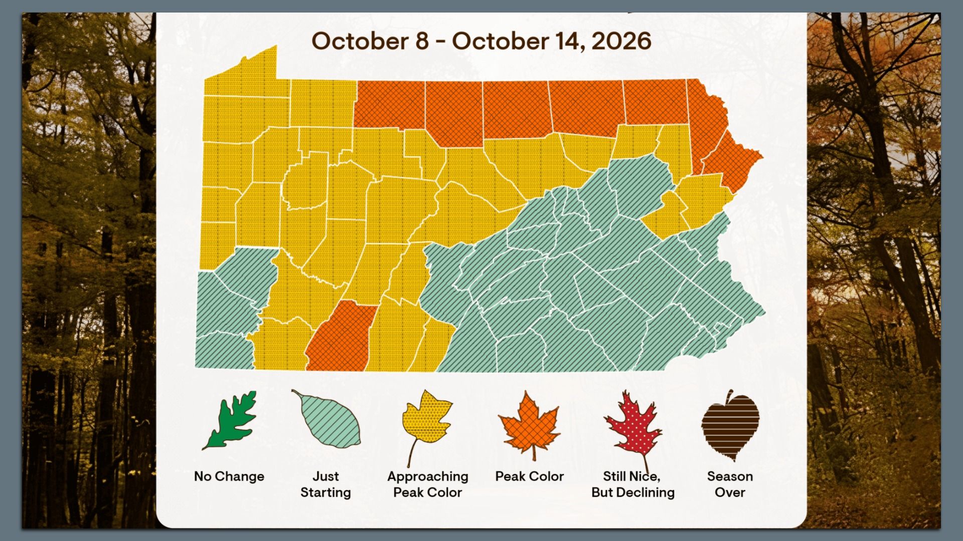 Color-coded map of North Carolina counties showing fall color stages (yellow, orange, teal) with autumn forest backdrop and the date range "October 8 - October 14, 2026" above.