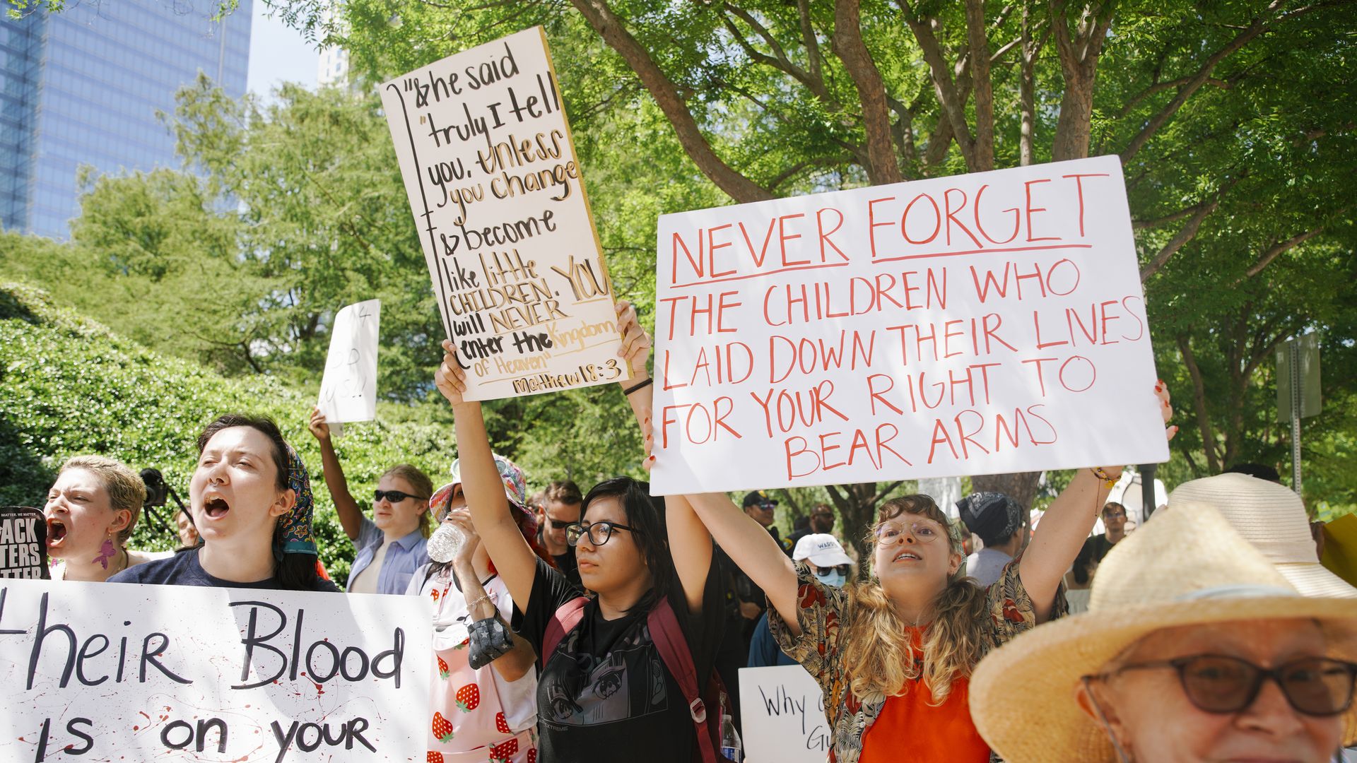 Picture of protesters who support gun control