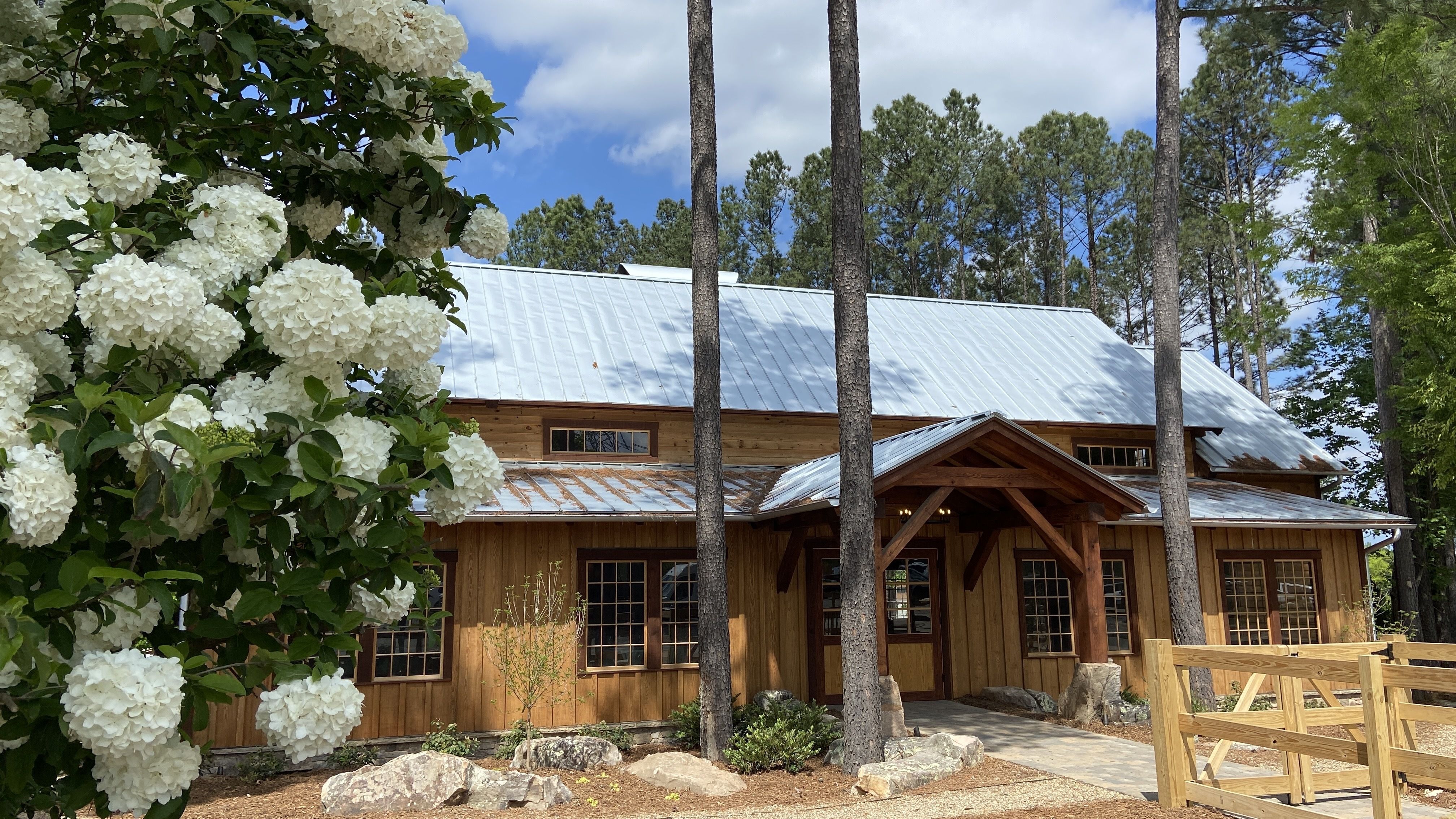 Wood cabin with silver metal roof, large white hydrangea flowers on left, tall pine trees, wooden gate, and blue sky with clouds in the background at the Whitewater Center.