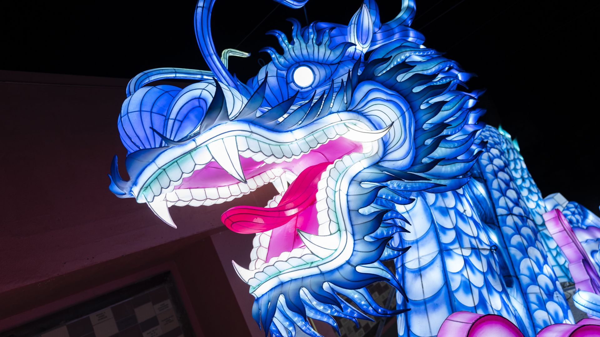 Illuminated blue dragon lantern with glowing white eyes, sharp teeth, and a bright pink tongue against a dark background at night.