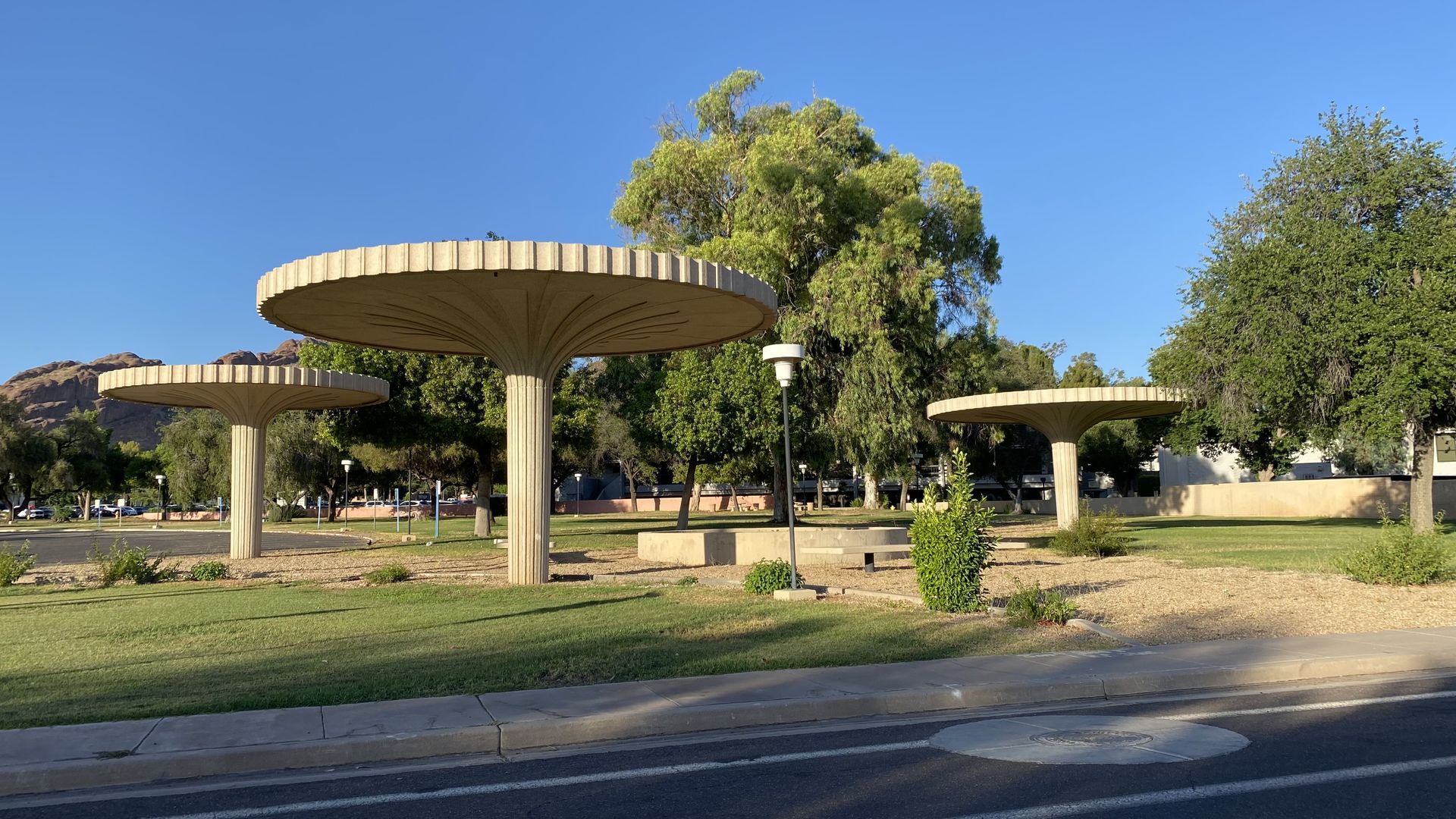 Three tree-like concrete columns with large flat circular tops.