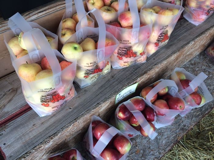 Windy Hill apples
