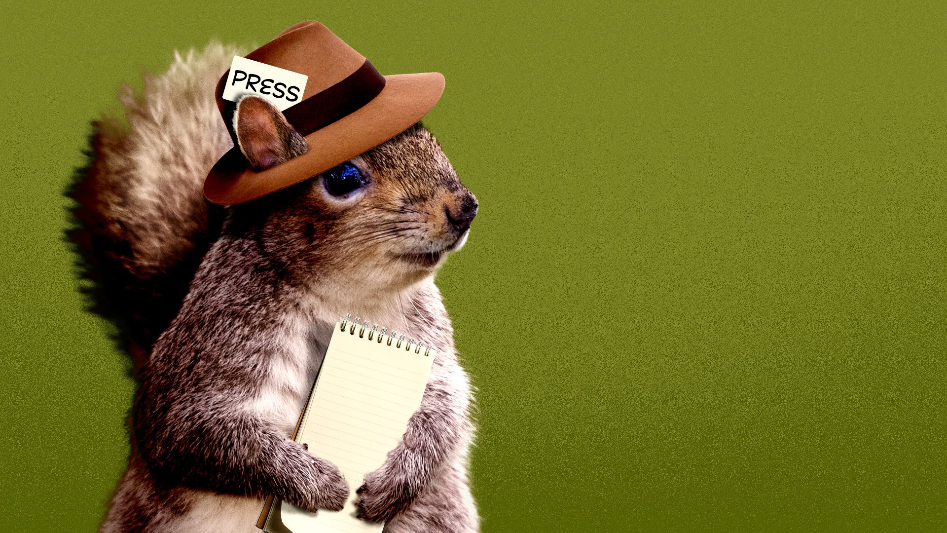 Illustration of a squirrel dressed as a reporter with a notepad and press pass in his hat. 