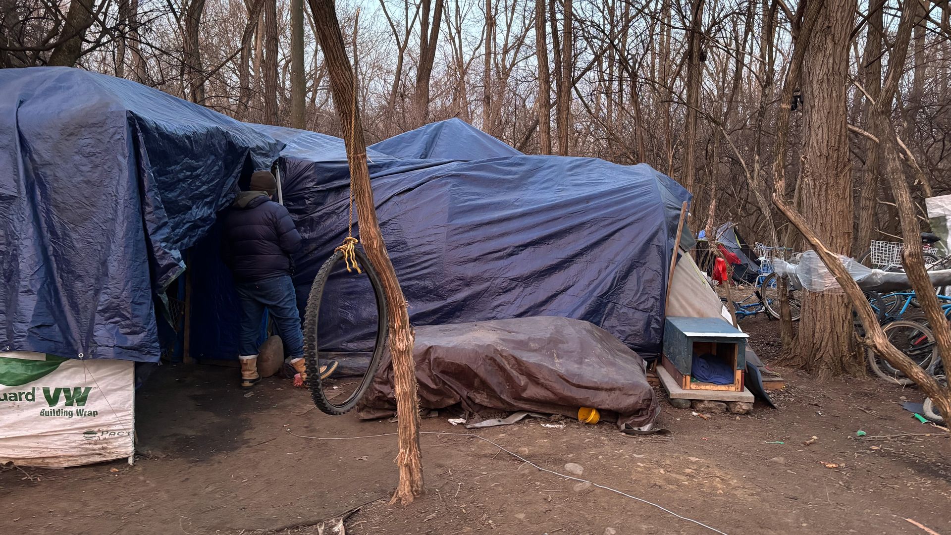 A person in a jacket and boots stands outside a makeshift shelter covered with blue tarps in a leafless wooded area, with a tire swing and bicycles nearby.