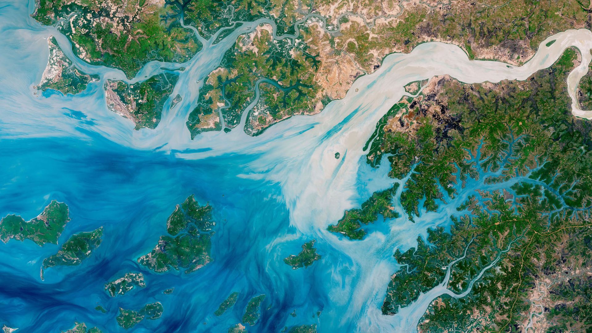 Estuaries near the coast of Guinea–Bissau as seen by satellite.