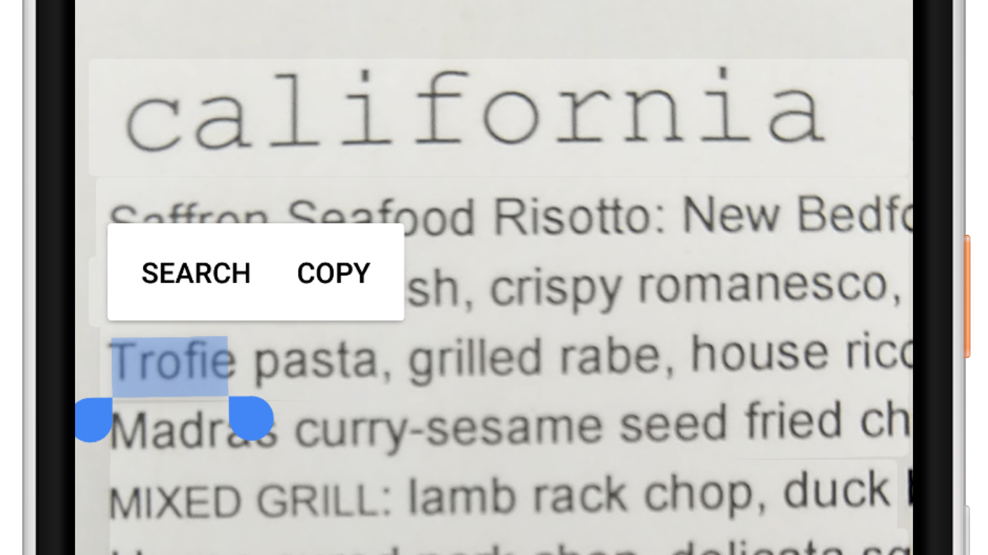 Google Lens now supports selecting text from within a photo