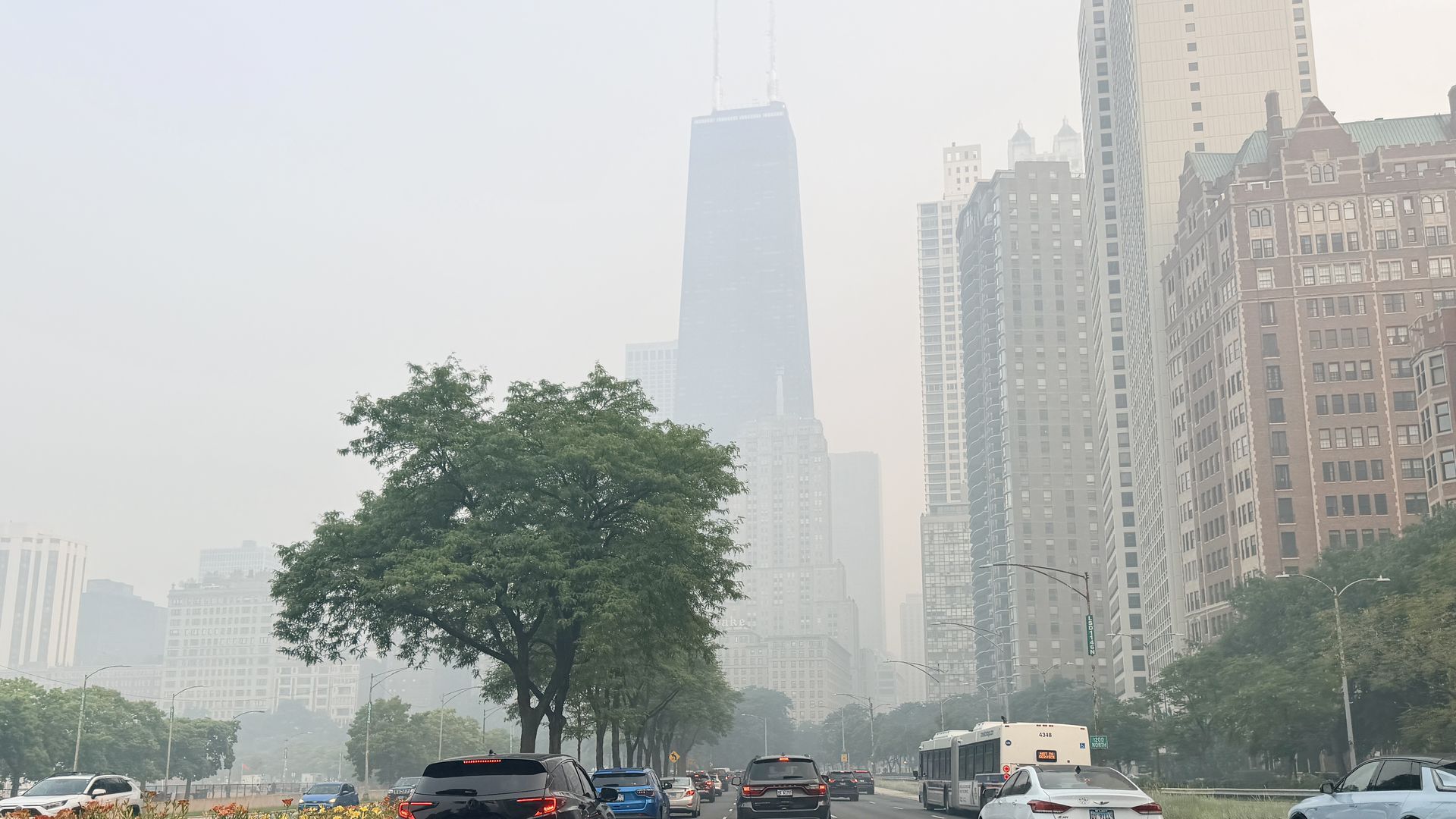A hazy city street with tall modern buildings on the right, a large tree in the foreground, and heavy traffic of cars and a bus on a wide, multi-lane road.