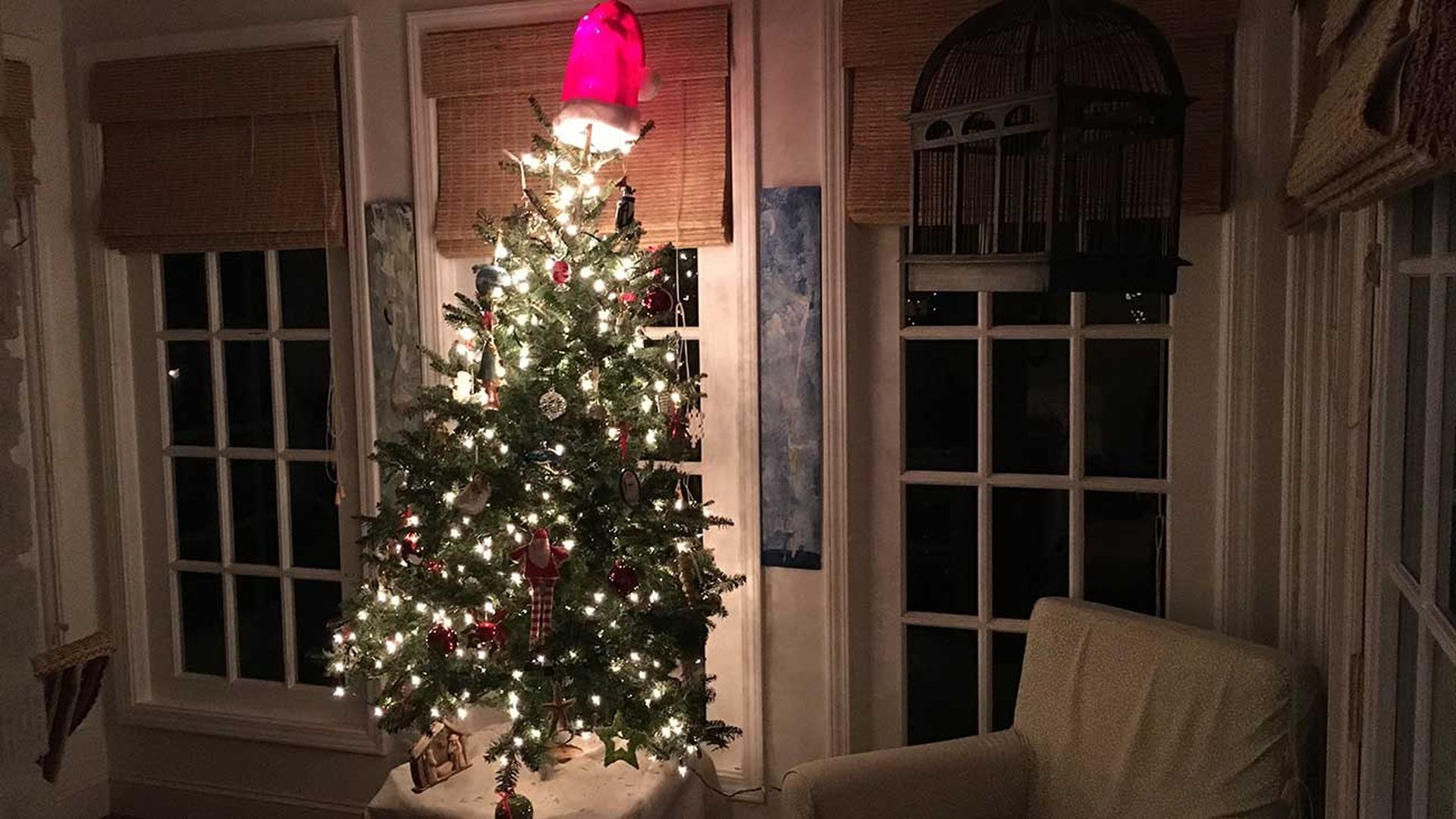 christmas-tree-in-charlotte-house
