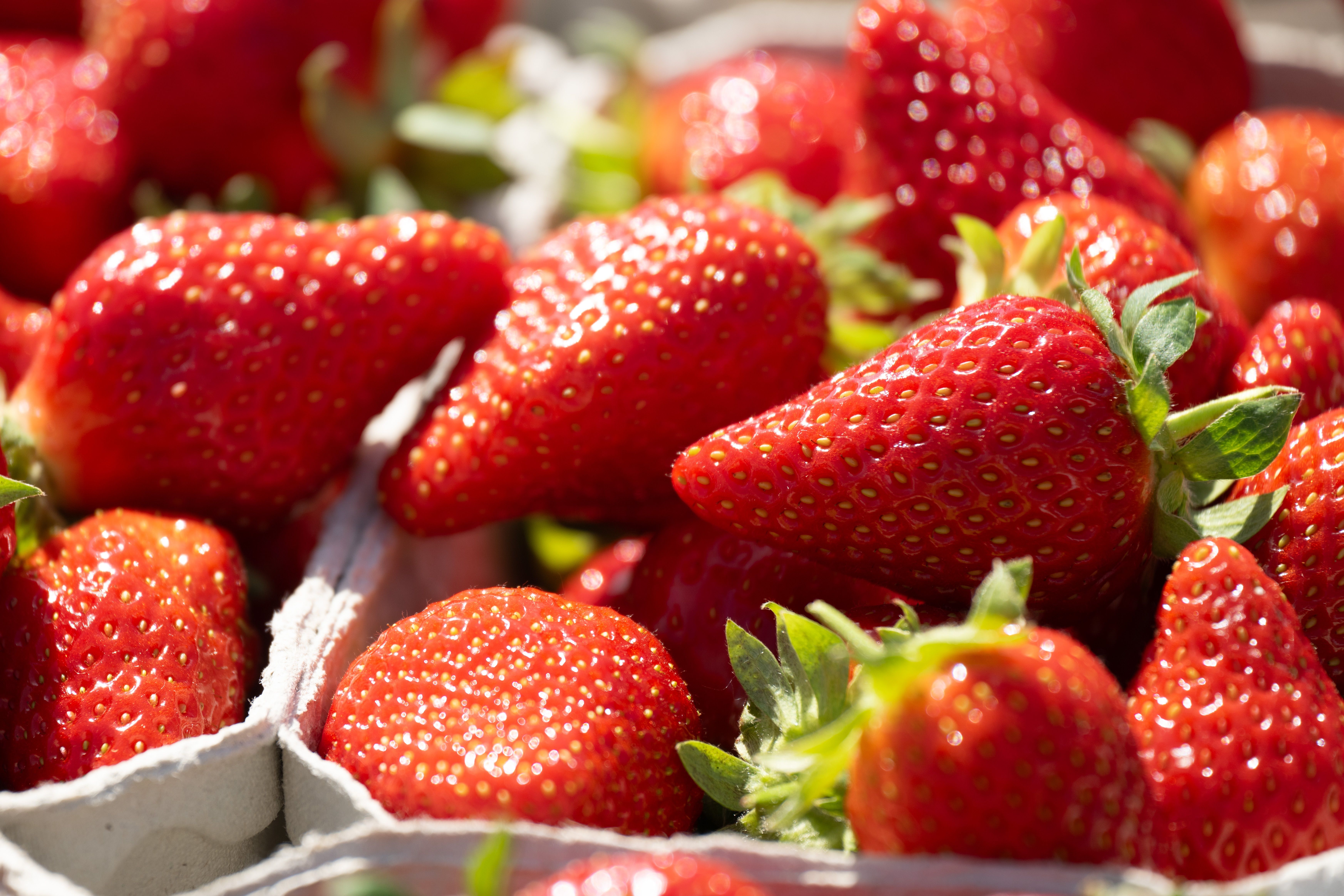 axios.com - Andrew King - It's fruit picking season at Central Ohio farms