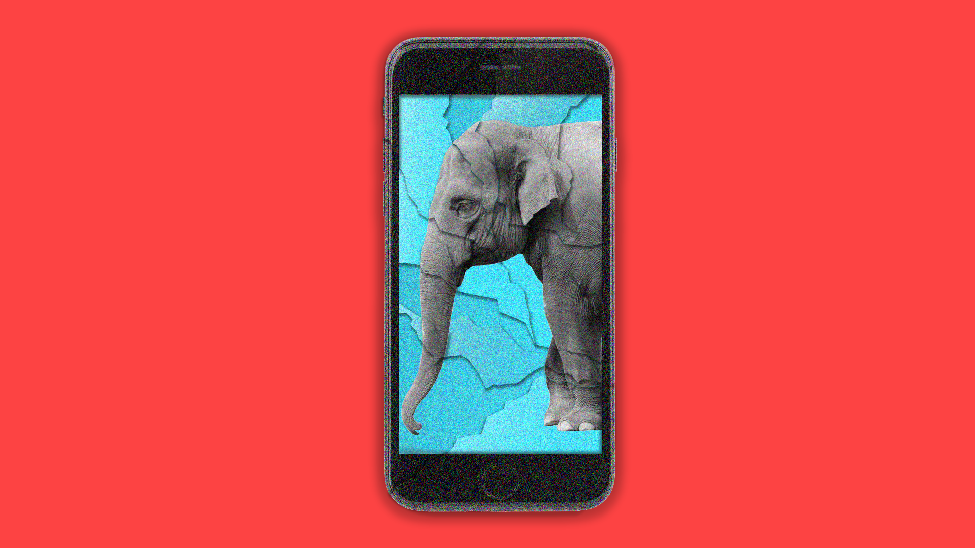 Smartphone with an elephant on the screen